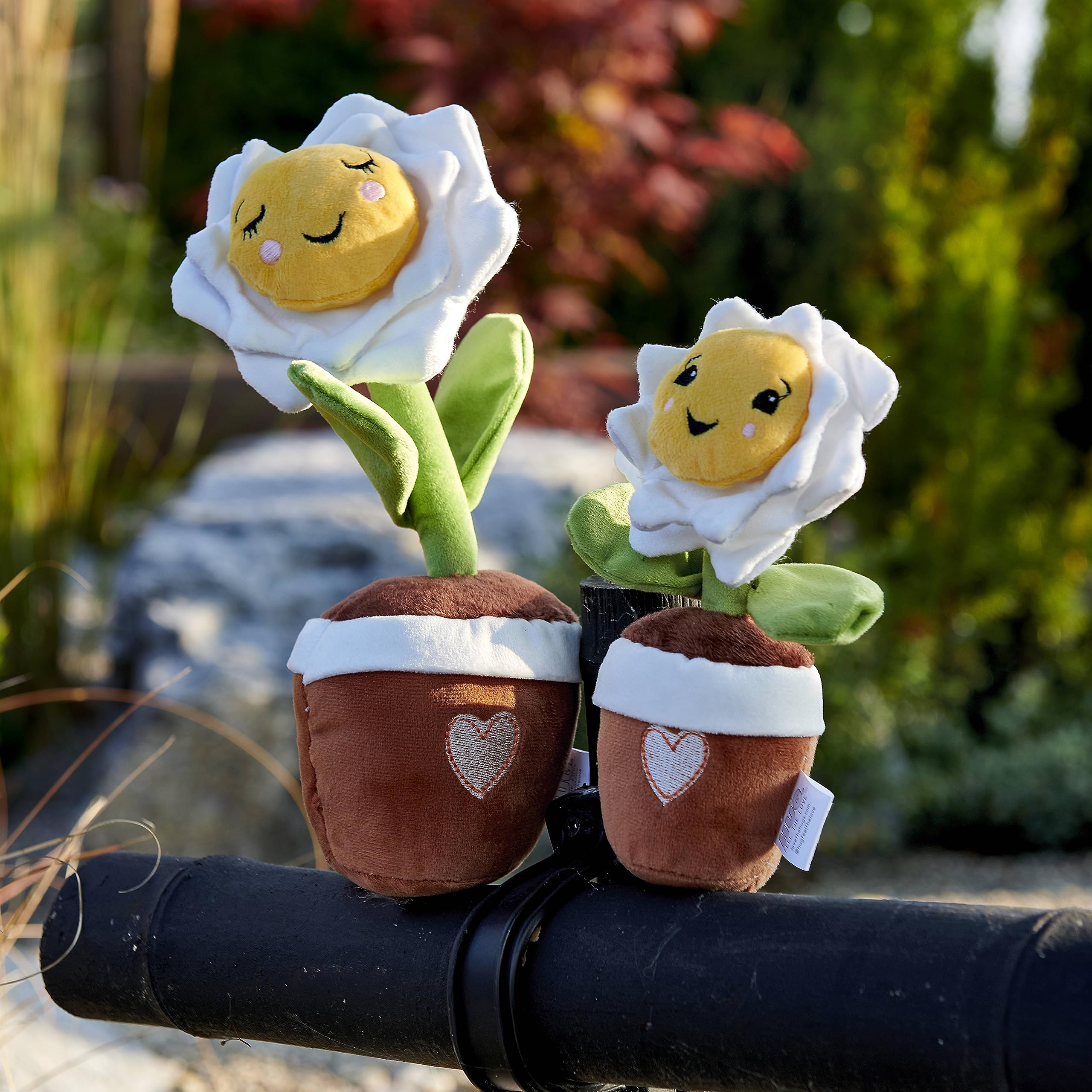 Amazon.com: Hug Feel The Love Soil Mates – Daisy – Plush Plant