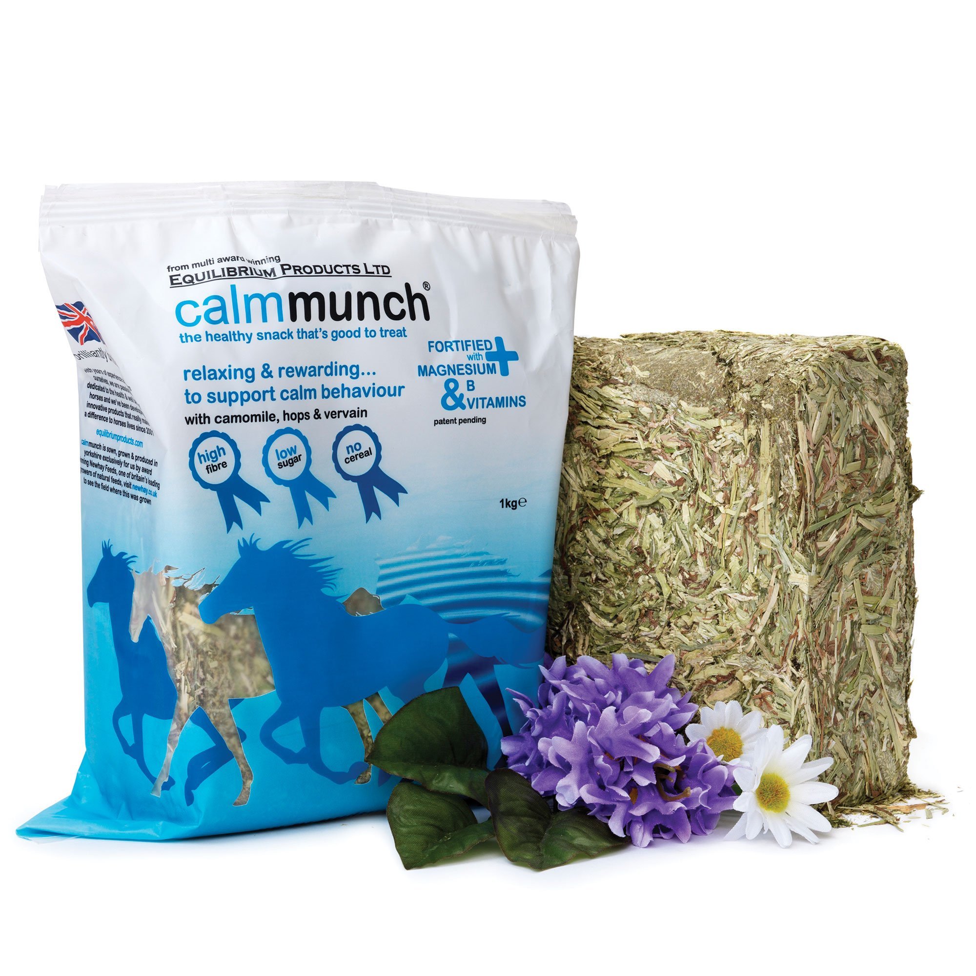 Equilibrium Calmmunch — image 1