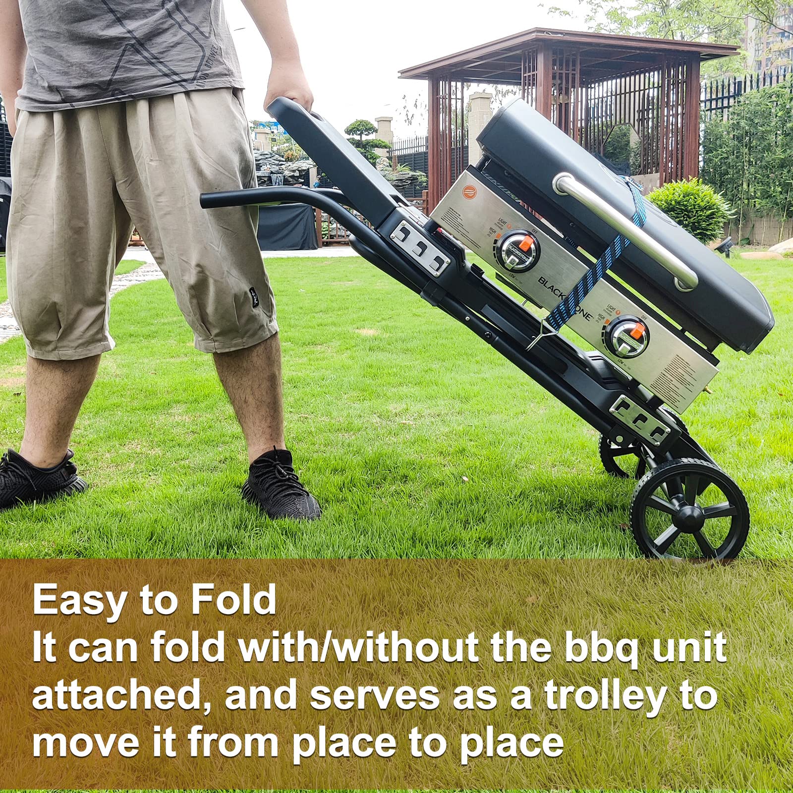 https://m.media-amazon.com/images/I/91jVEKexvxL.jpg