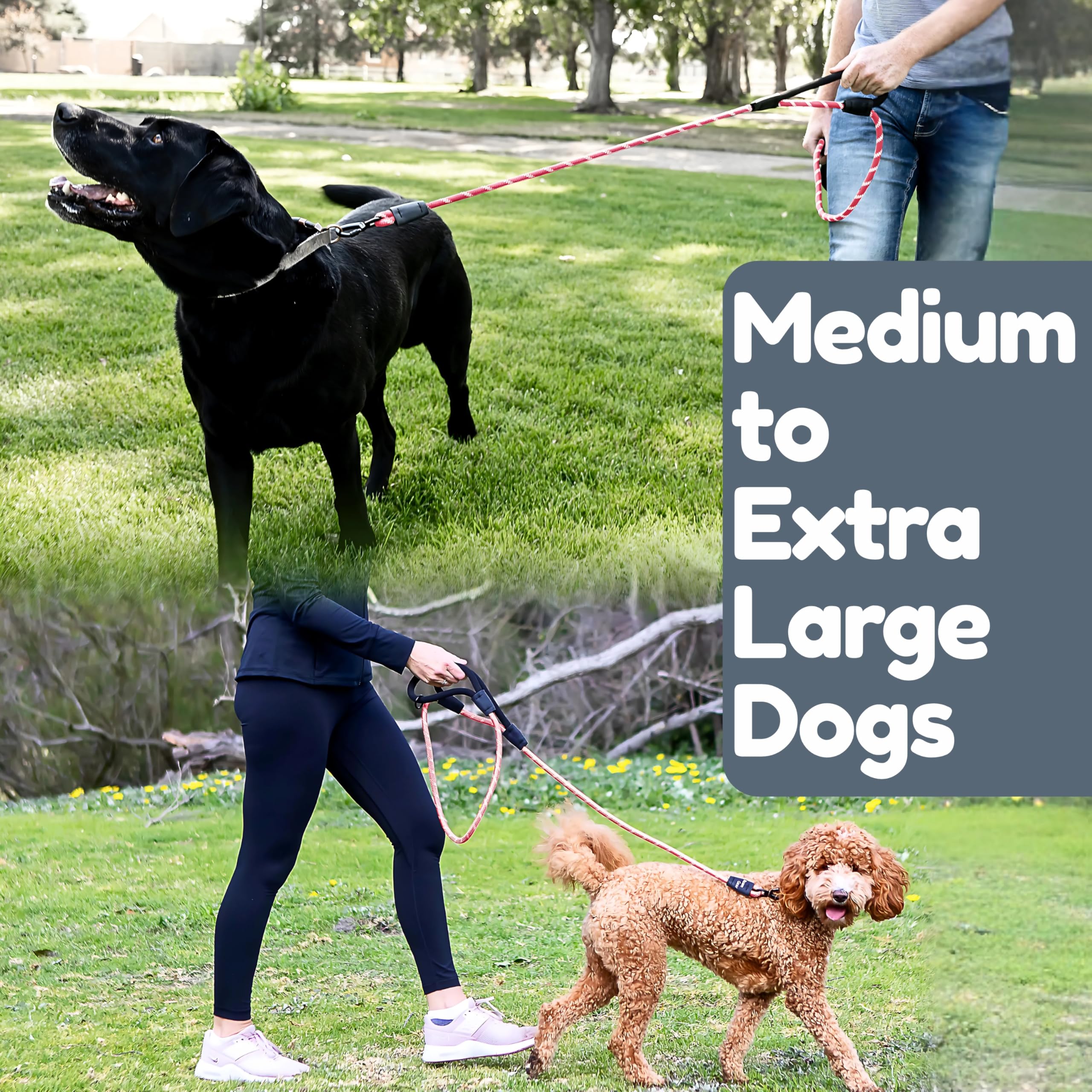 Correa de perro de 1,8 m, dos asas extraacolchadas, clip de mosquetón de bloqueo, reflectante para visibilidad nocturna, resistente a la intemperie, correa de cuerda, resistente, explorar, rosa