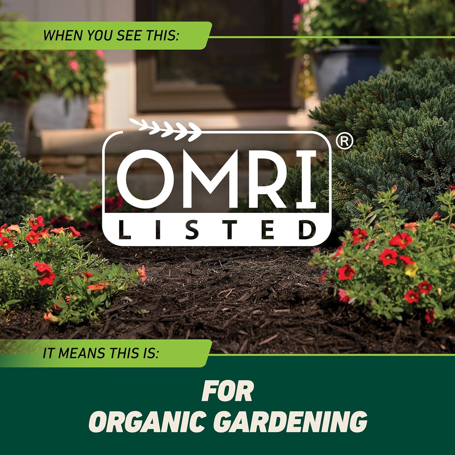 Ortho GroundClear Weed and Grass Killer2 Concentrate, Kills Dandelions, Chickweed, Crabgrass, Moss and More in Patios and Landscapes, OMRI Listed, 32 fl. oz.