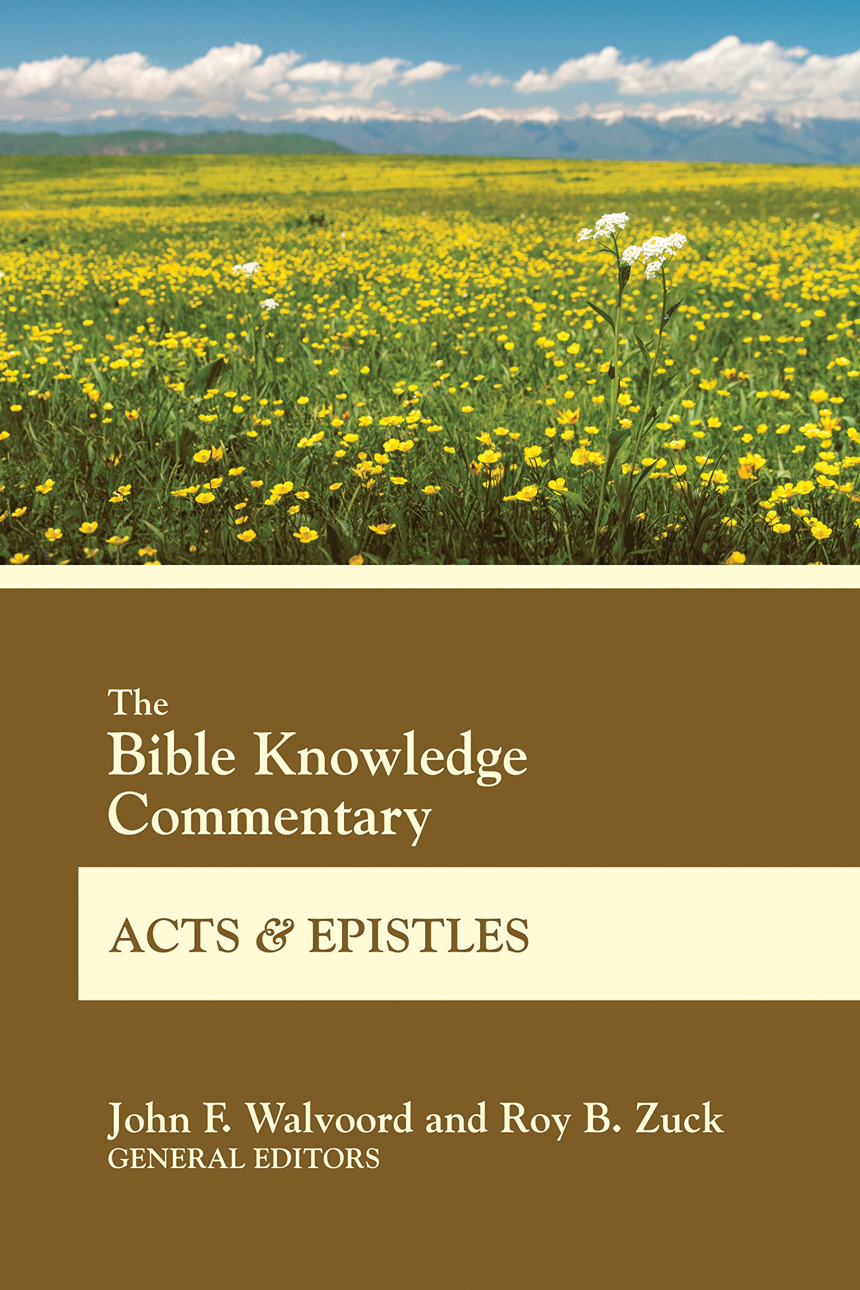 Bk Commentary Acts and Epistles (Bible Knowledge Commentary)