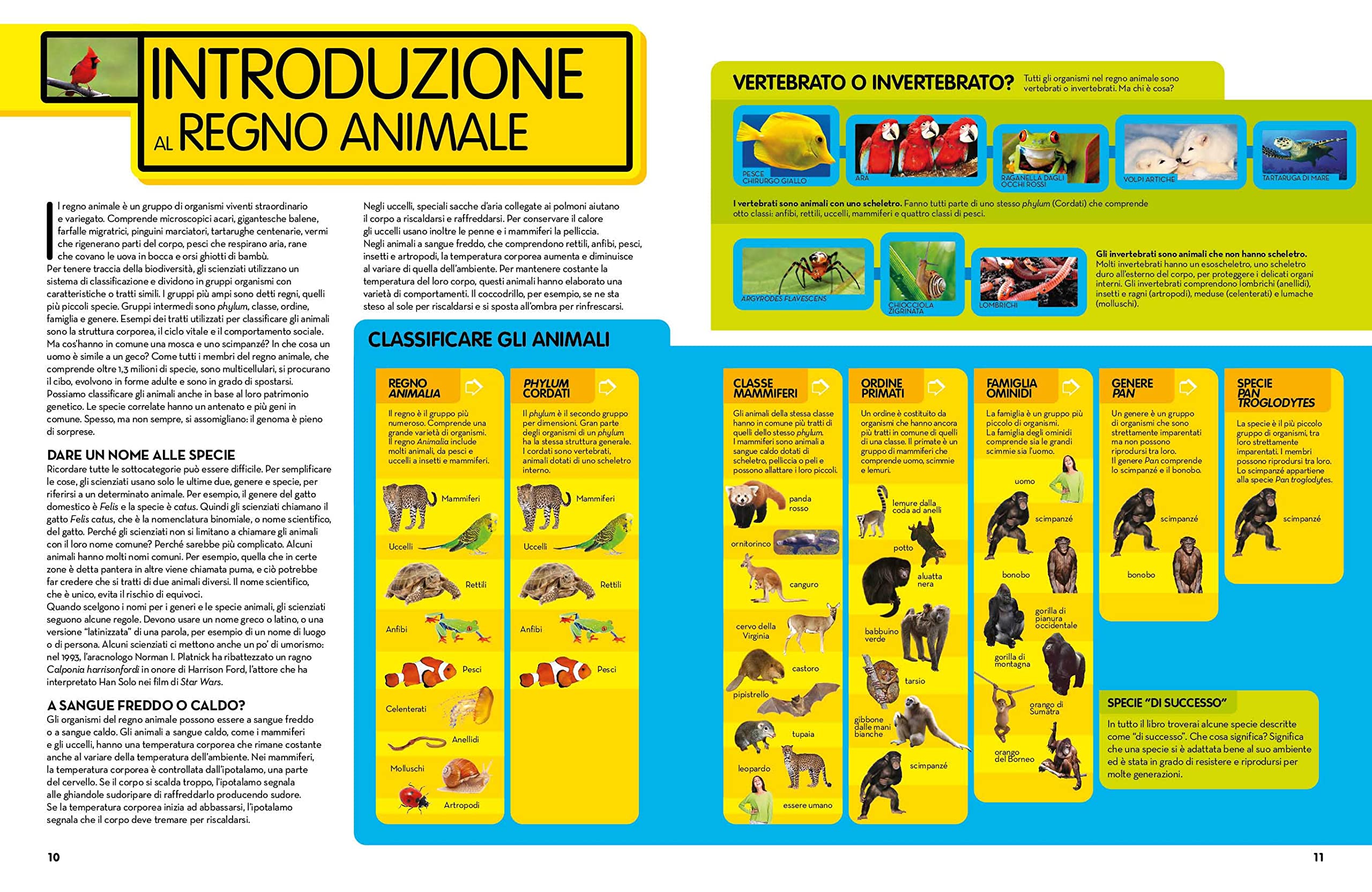 NATIONAL GEOGRAPHIC KIDS - La Grande Enciclopedia Degli Animali | Guida Illustrata per Bambini | Educazione e Divertimento | Scoperta della Fauna