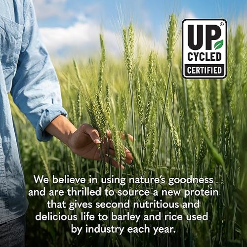 Miniatura 6 de Garden of Life Proteína de cebada germinada a base de plantas + probióticos, ingredientes simples, 0.74 oz de proteína, chocolate, 20 porciones