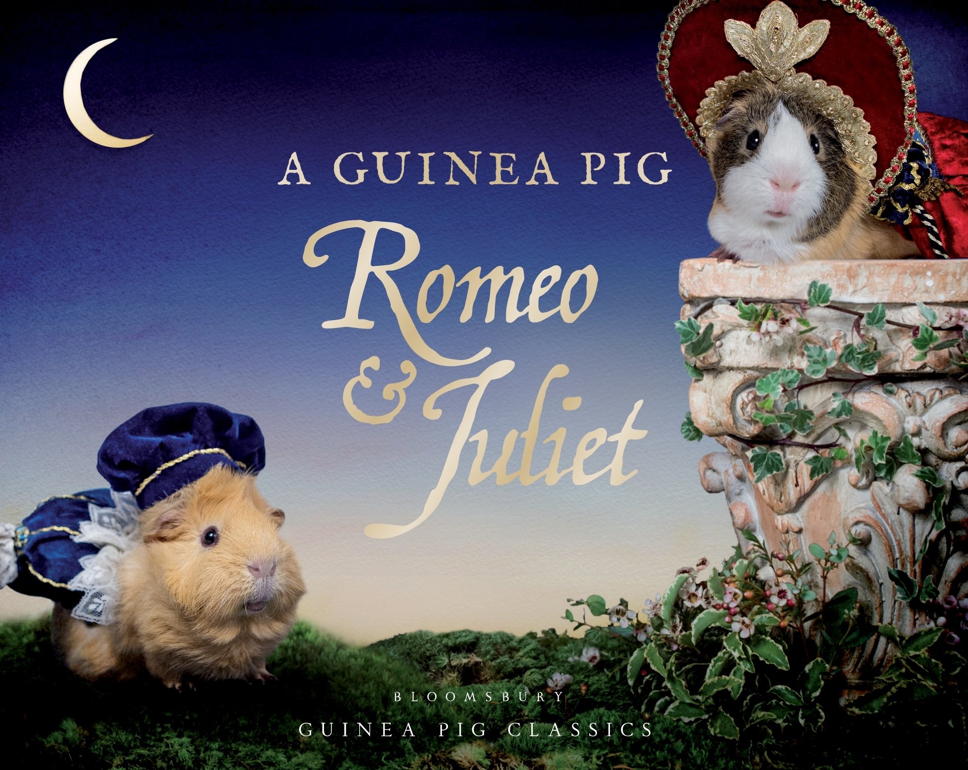A Guinea Pig Romeo & Juliet: A Pair of Star-crossed Lovers (Guinea Pig Classics)