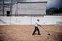 Vista 7 de Café tostado oscuro, grano entero de Mathilde's de 2 libras
