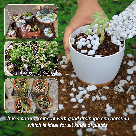 3 Quarts Chunky Perlite for Plant Soil Amendment for Potting Soil, Improves Drainage and Aeration for Soil, Ideal for Succulents, Orchid, Flower Plants (1/4 inch)
