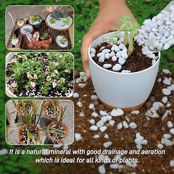 3 Quarts Chunky Perlite for Plant Soil Amendment for Potting Soil, Improves Drainage and Aeration for Soil, Ideal for Succulents, Orchid, Flower Plants (1/4 inch)