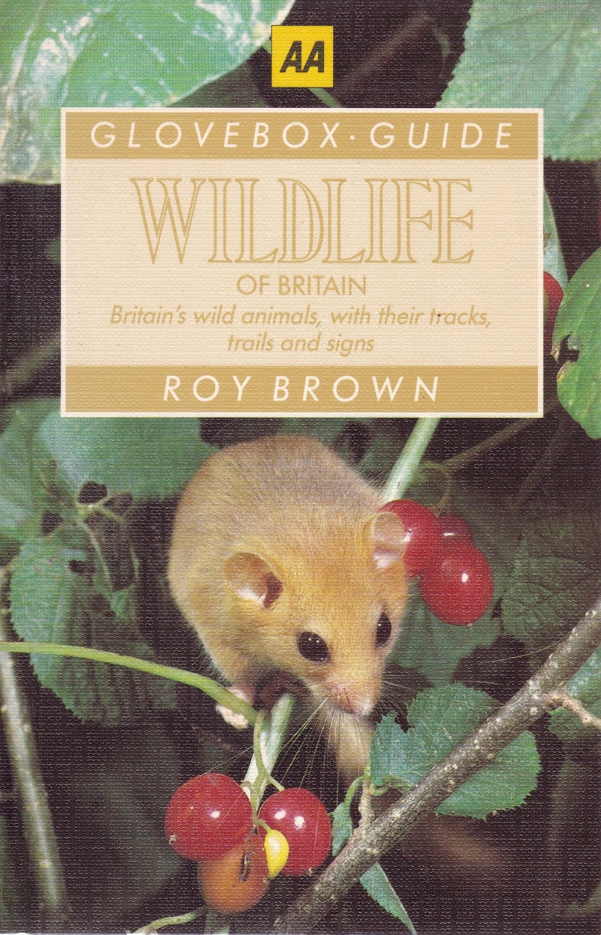 Wild Life (AA Glovebox Guides)