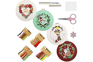 Fanryn 4 Sets Embroidery Kit for Beginners