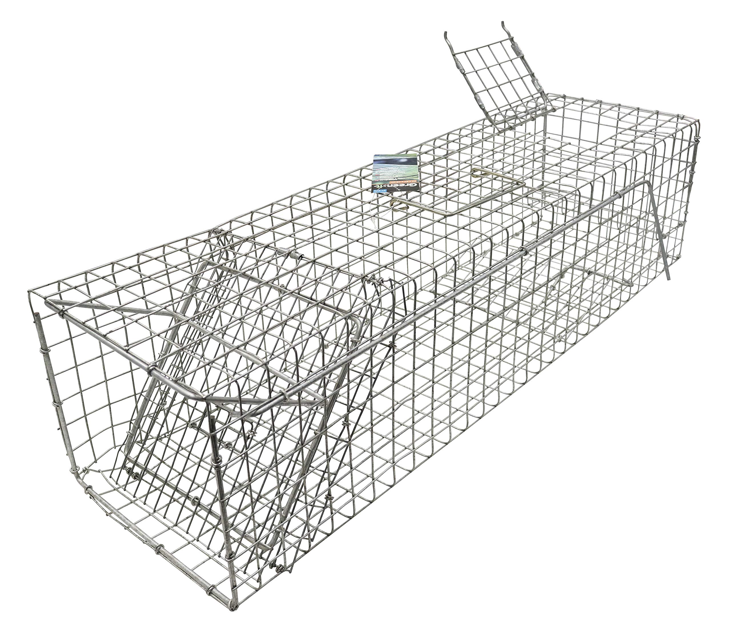 HOME It® Trappola a cattura viva per faine e piccoli mustelidi – 1 ingresso – 77 x 21 x 18 cm – foro 20 x 18 cm – sportello a caduta con lucchetto – metallo zincato – 1,6 kg