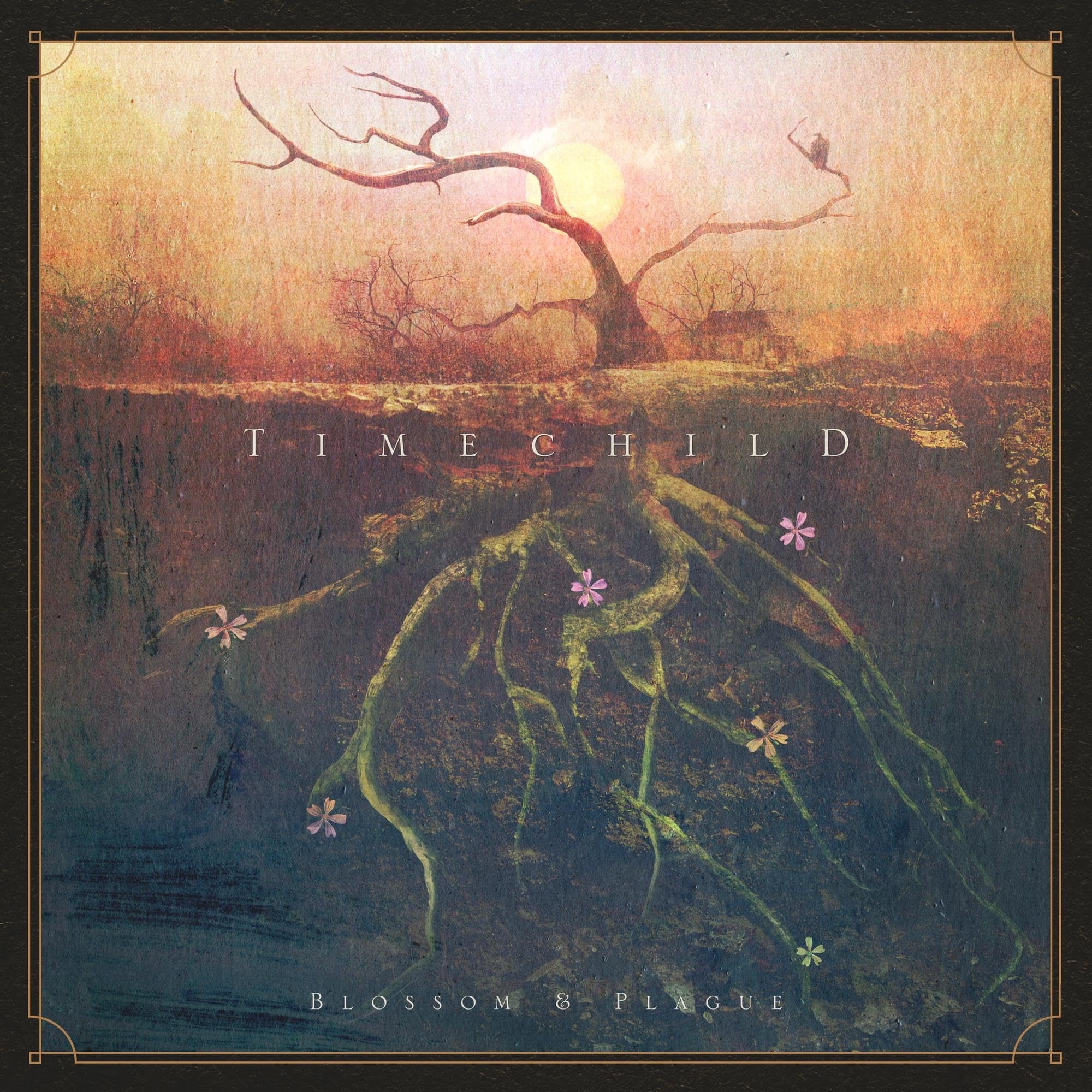 Blossom & Plague [VINYL]