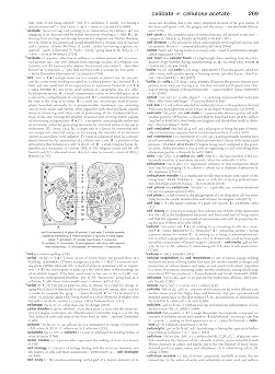Merriam-Webster's Collegiate Dictionary, 12th Edition