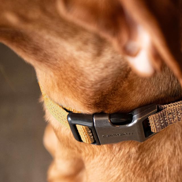 Foto 6 de 6 de Carhartt Tradesman Collar