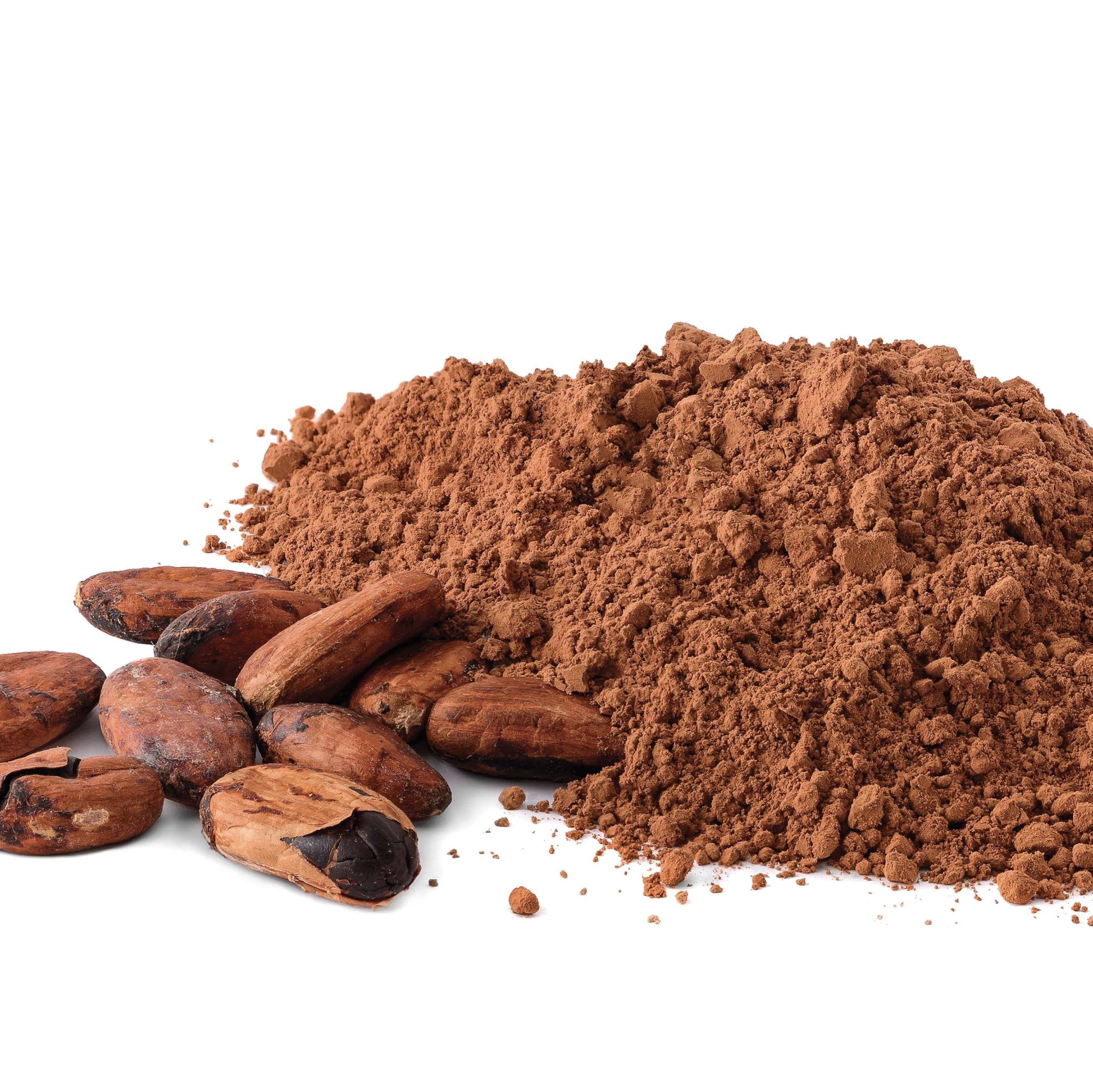 Bongiovanni Bontà Naturali Cacao Amargo 20/22 en Polvo 5 kg BIO