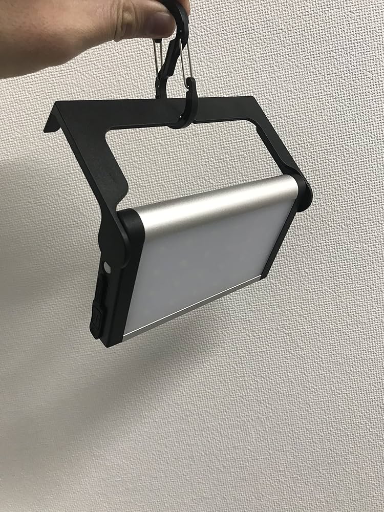 観賞用 91jX-rz1z7L._UF1000,1000_QL80_.jpg