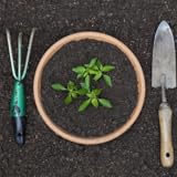 Eco Legacy eBook