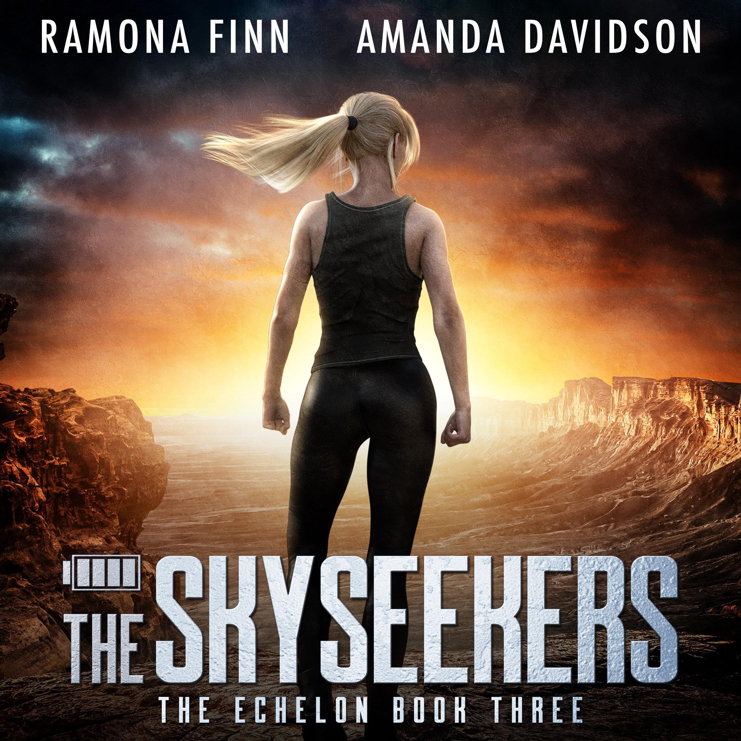 Cover art for The Skyseekers