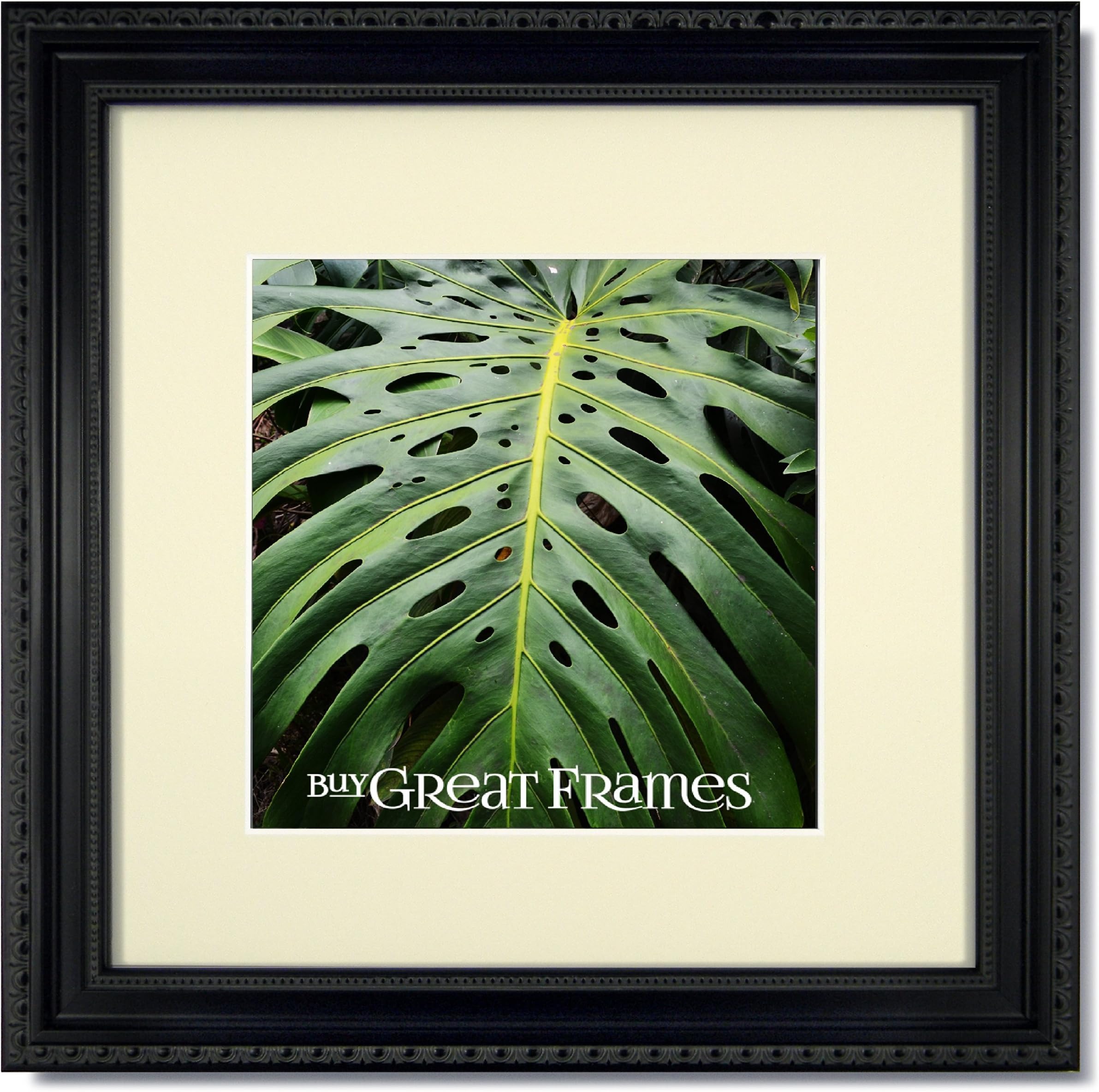 One 12x12 Ornate Heritage Black Square Picture Frame and Clear Glass with a single Warm White Mat for 8x8.