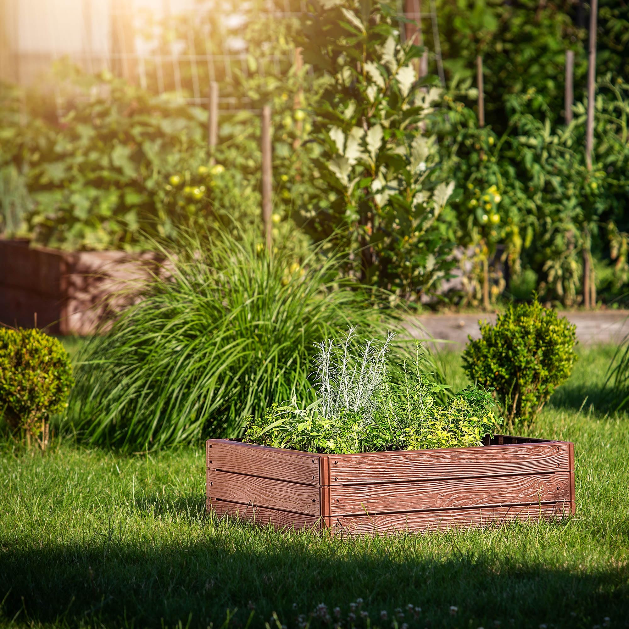 KADAX Cama de jardín, arriate elevado, para el cultivo de verduras, flores y hierbas, macizos de hierbas, huertos, marco de plástico (cuadrado marrón)