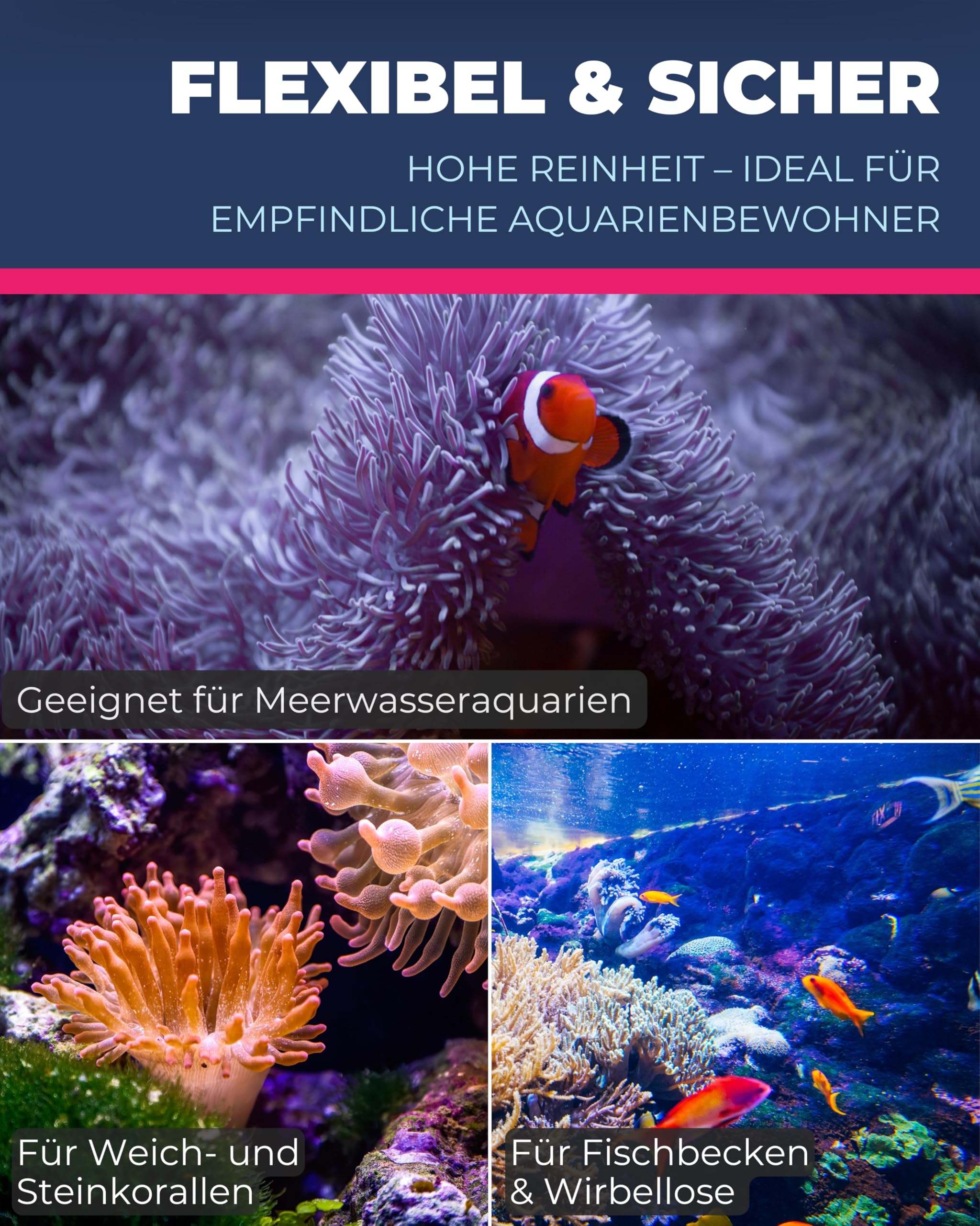 Dupla Marin Basic Ocean Sea Salt I 20 kg I Meersalz für Tropische Riffaquarien I Aquariensalz für leichte Korallenpflege I hohe Löslichkeit I Salz für Meerwasseraquarien I chelat- und nitratfrei