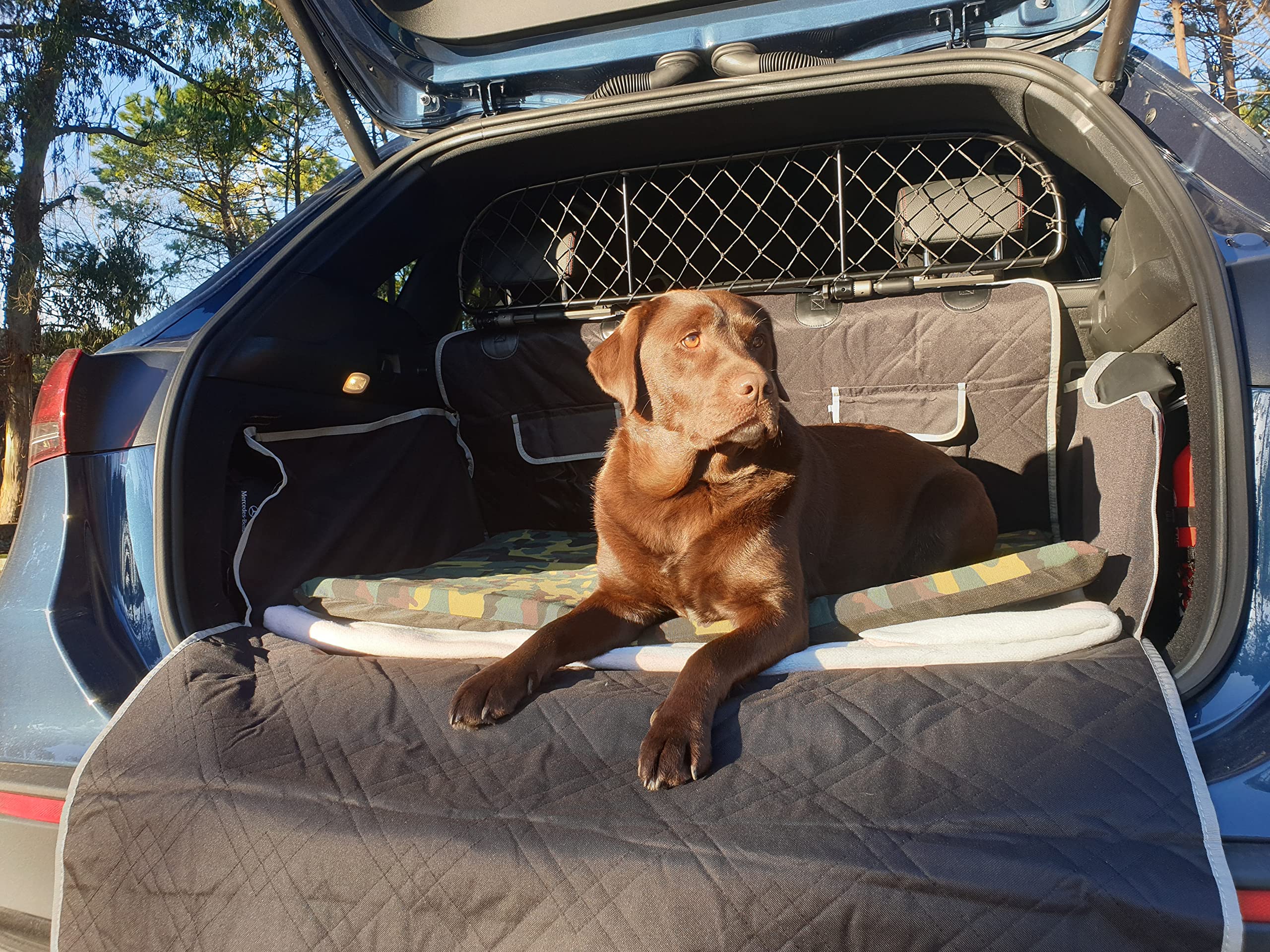 ERGOTECH Divisorio Griglia Rete Divisoria per Mercedes GLA (dal 2020 in Poi) RDA65-XS, per Trasporto Cani e Bagagli