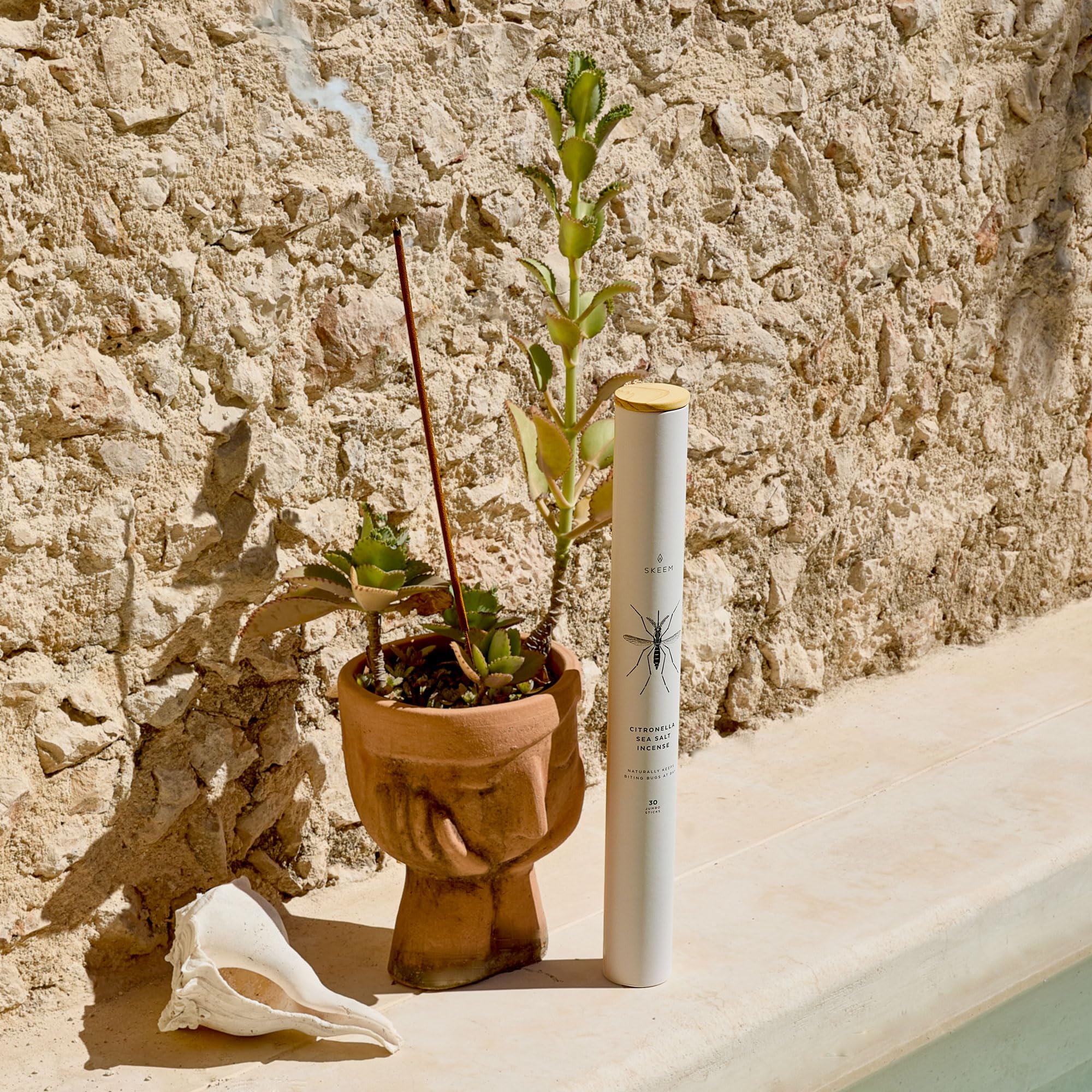 Amazon.com: Skeem Sea Salt Citronella Jumbo Incense - Tube of 30