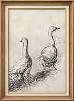 Hansa シマウマ Portraits of Nature art 26009 Amazon.com: SIGNWIN Premium Frame Art Vintage Retro Goose