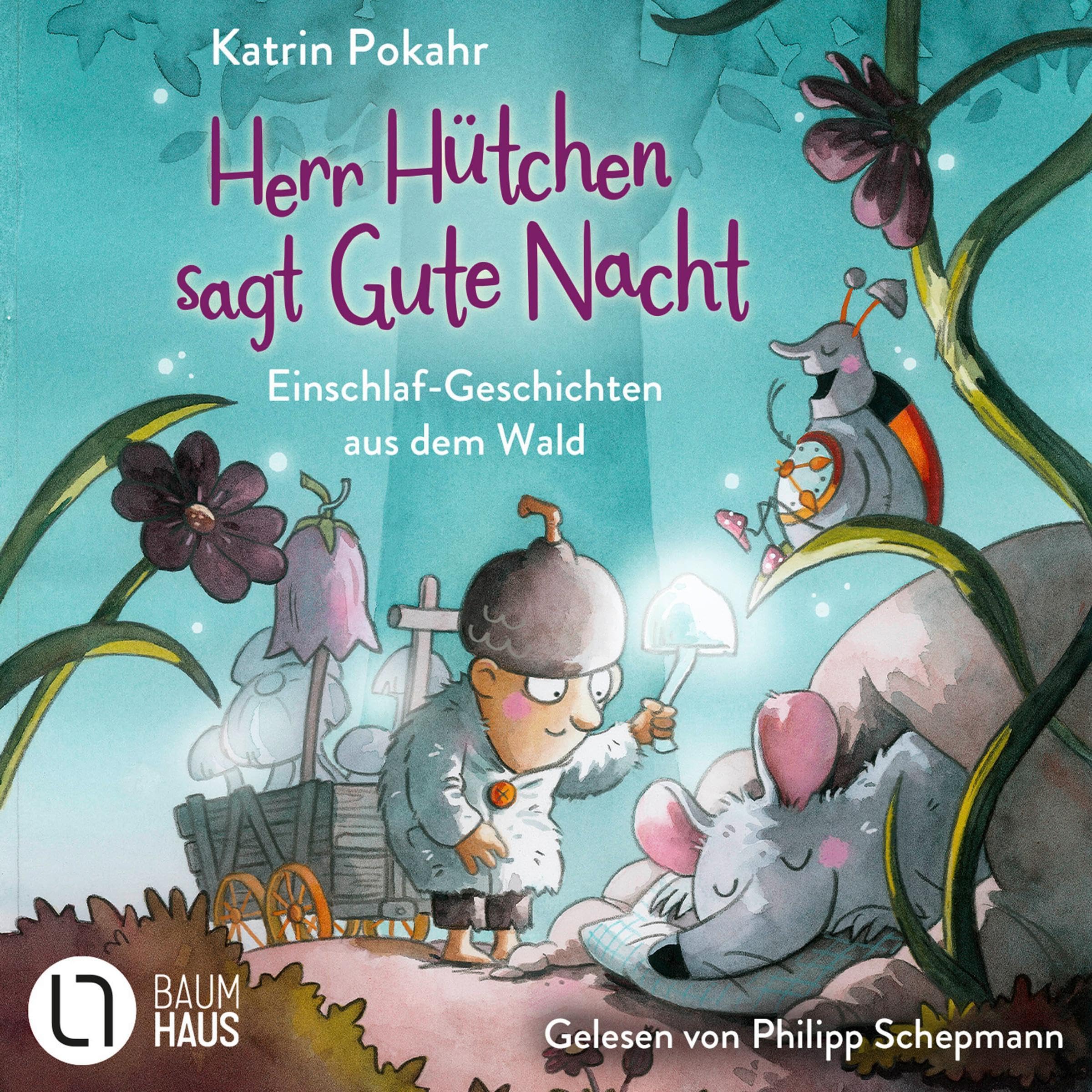 Cover art for Herr Hütchen sagt Gute Nacht - Einschlaf-Geschichten aus dem Wald