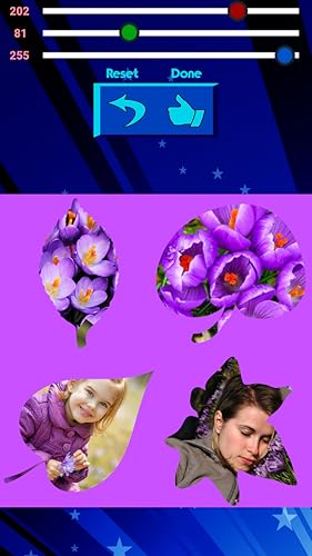 Crocus Photo Collage
