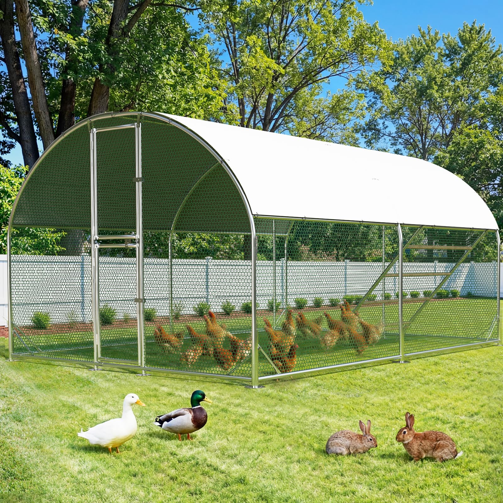 Sannwsg Oval Coop
