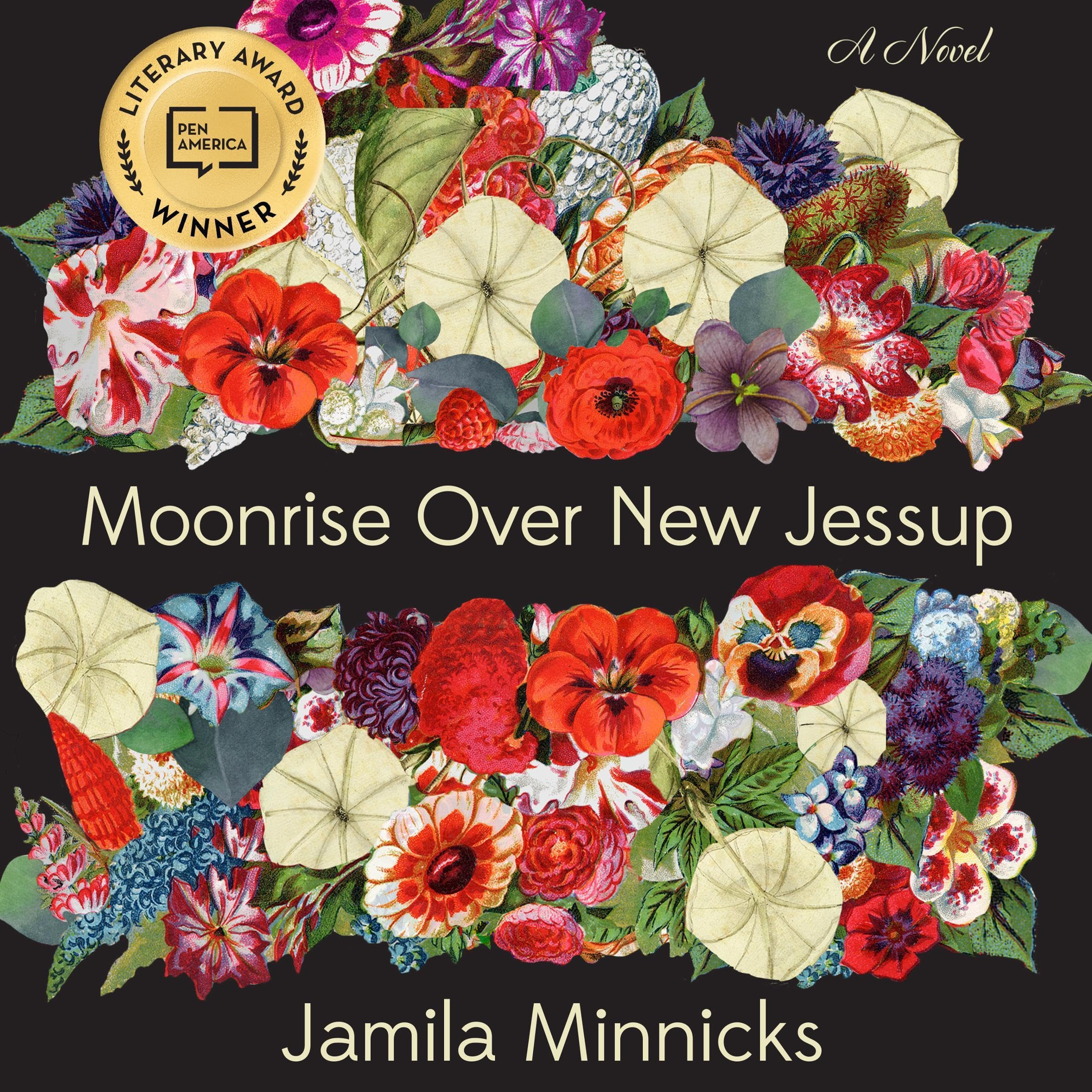 Cover art for Moonrise Over New Jessup