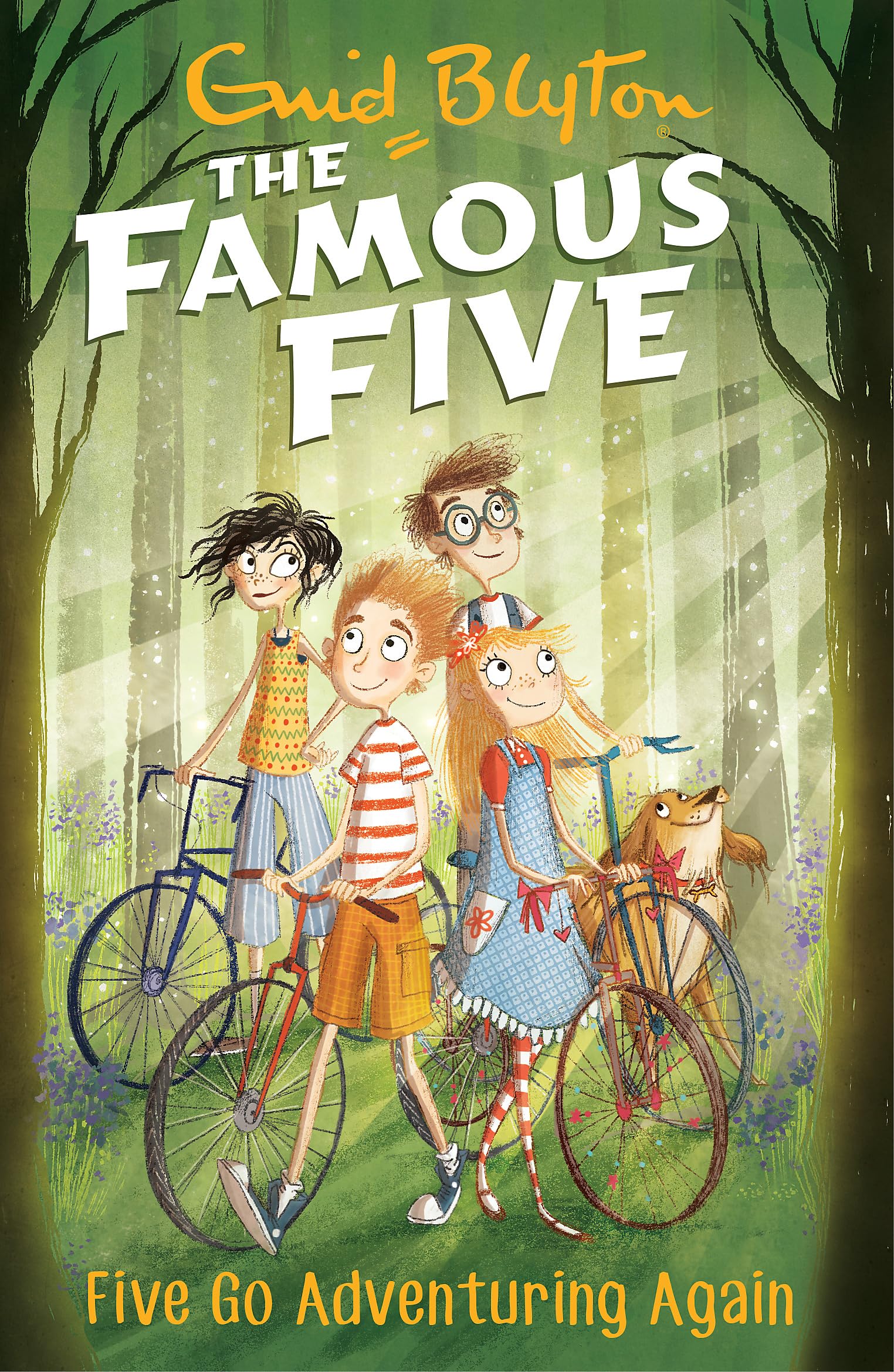 Five Go Adventuring Again: Book 2 (Famous Five)
