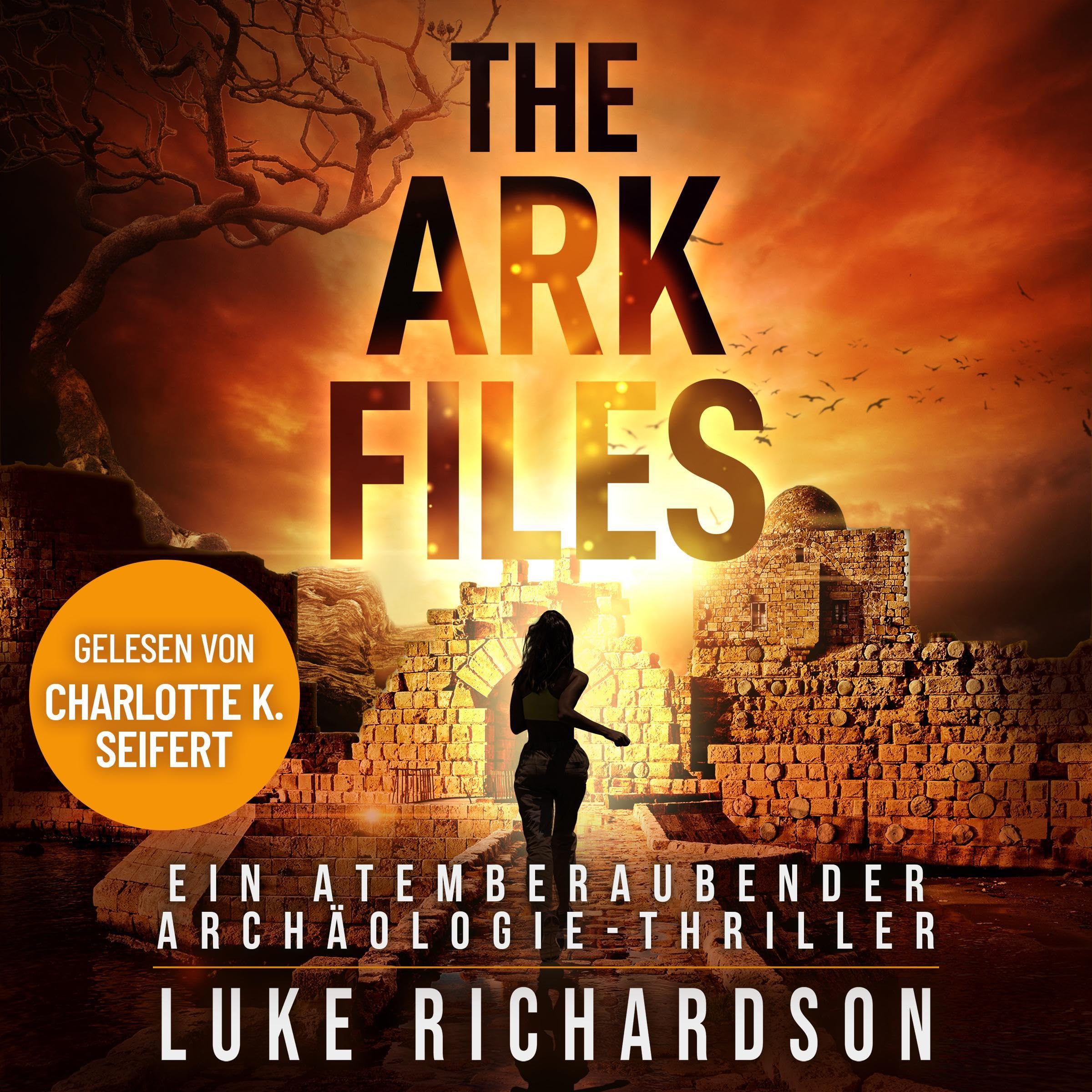 The Ark Files