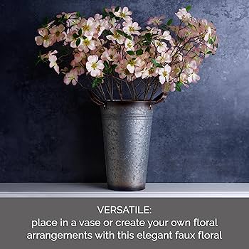 91jagXorb7L._AC_UF350,