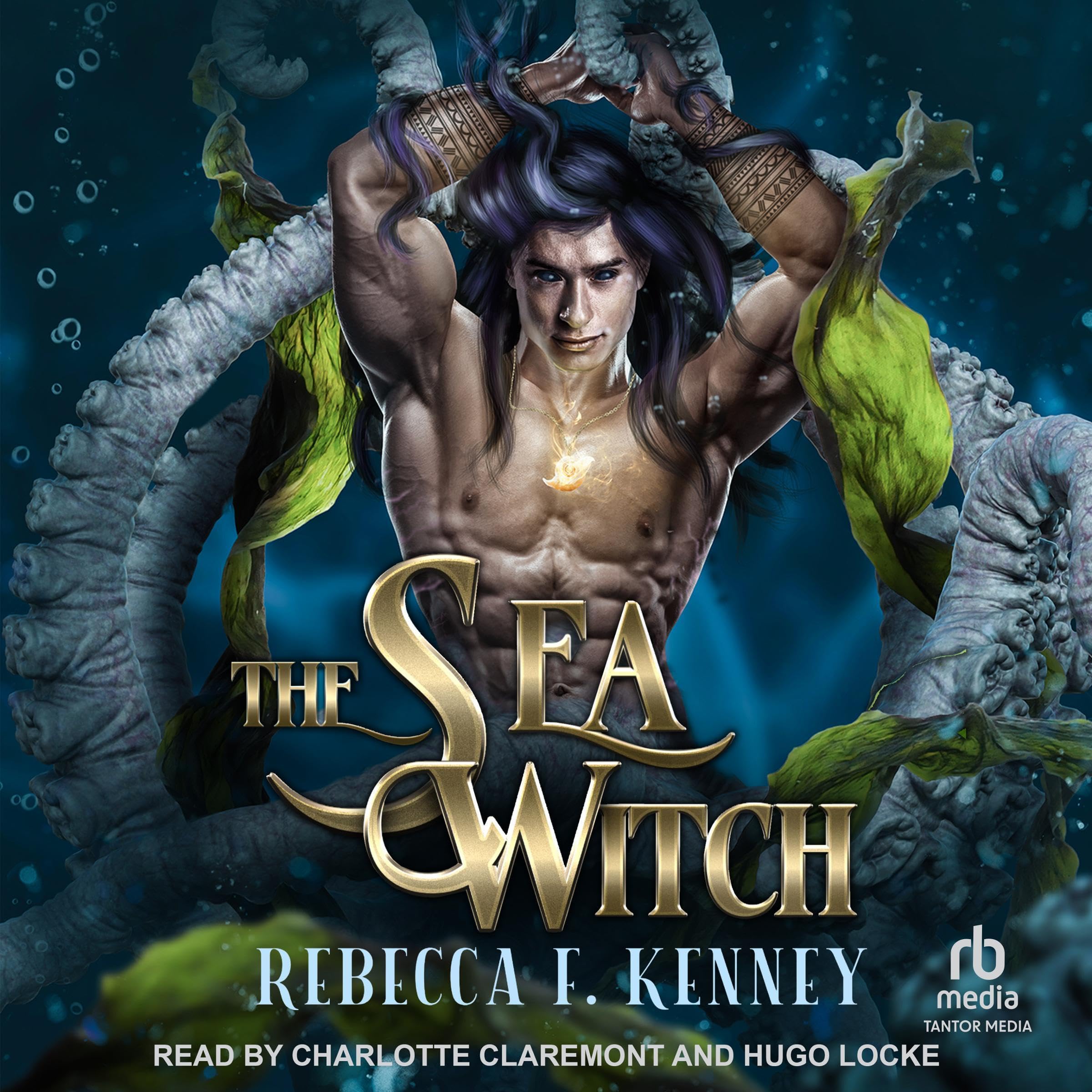 Cover art for The Sea Witch