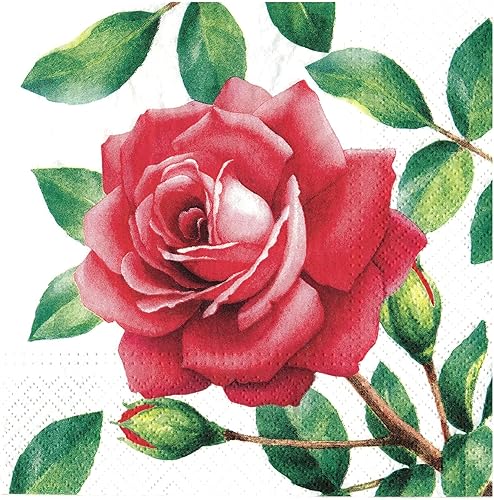 Miniatura 8 de AM Décor - 20 servilletas de papel suave de 3 capas de papel de papel de 13 x 13 pulgadas (desplegadas) Beautiful Day