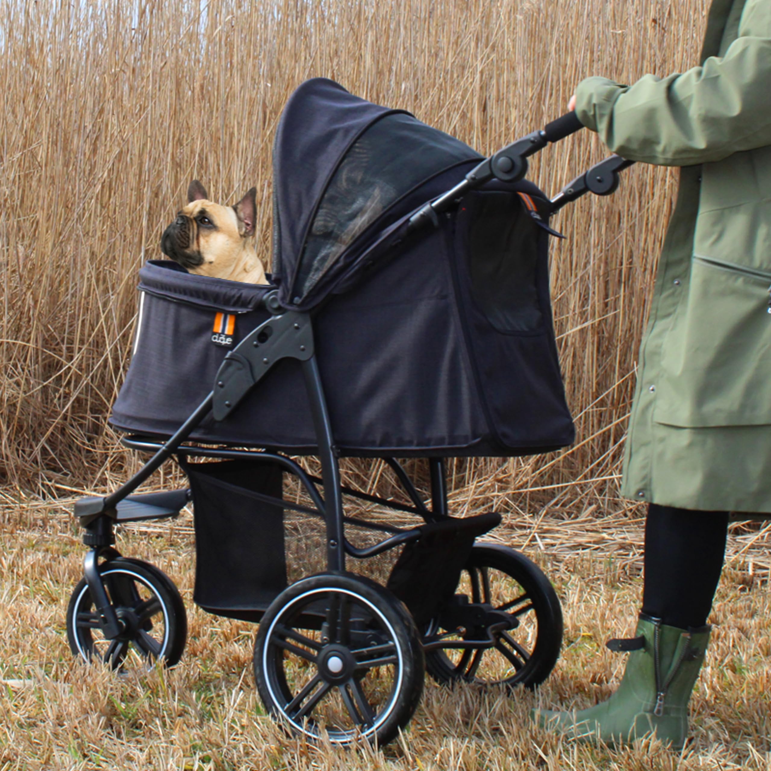 Amazon.com: MY DUQUE - COOPER dog & pet robust buggy, jogger