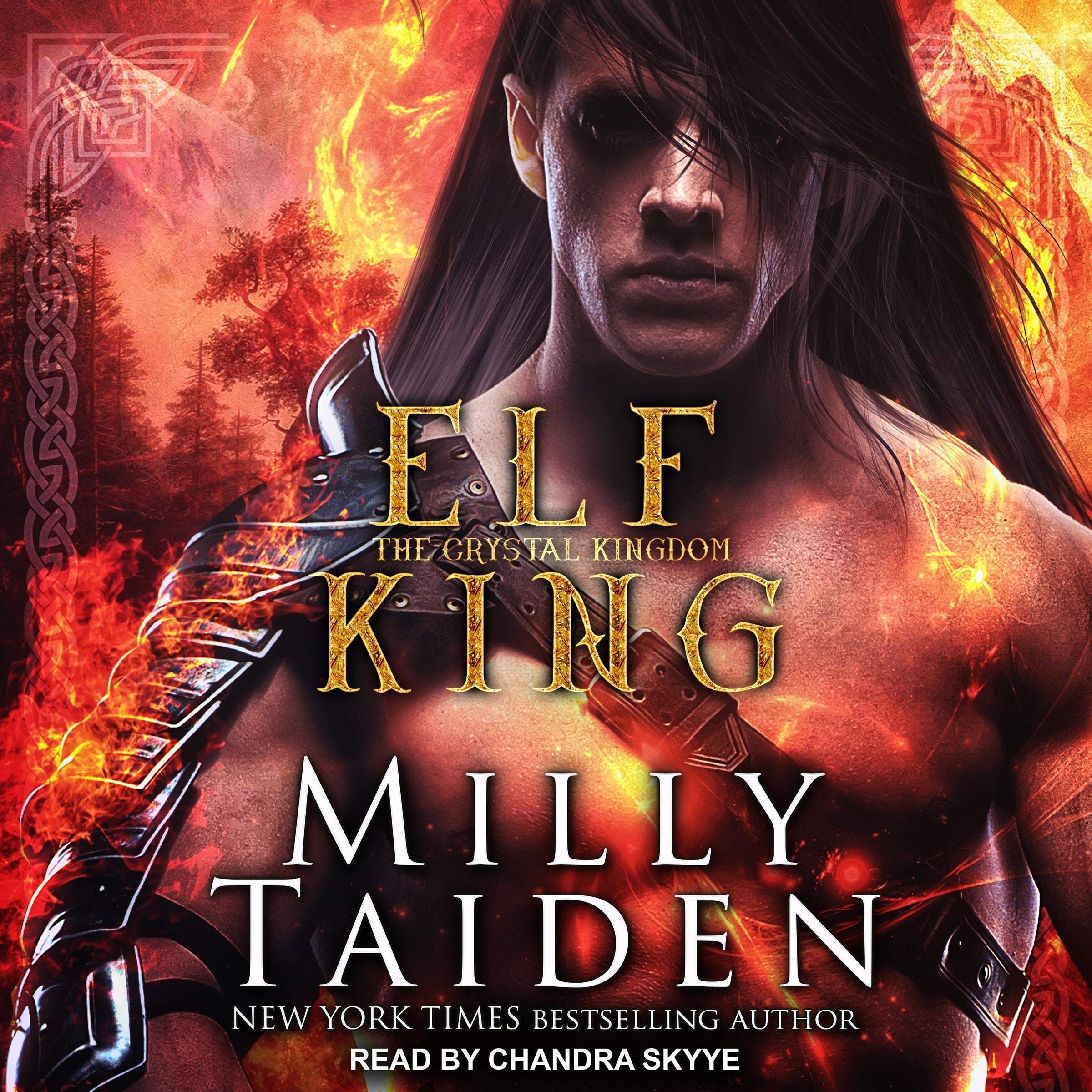 Cover art for Elf King