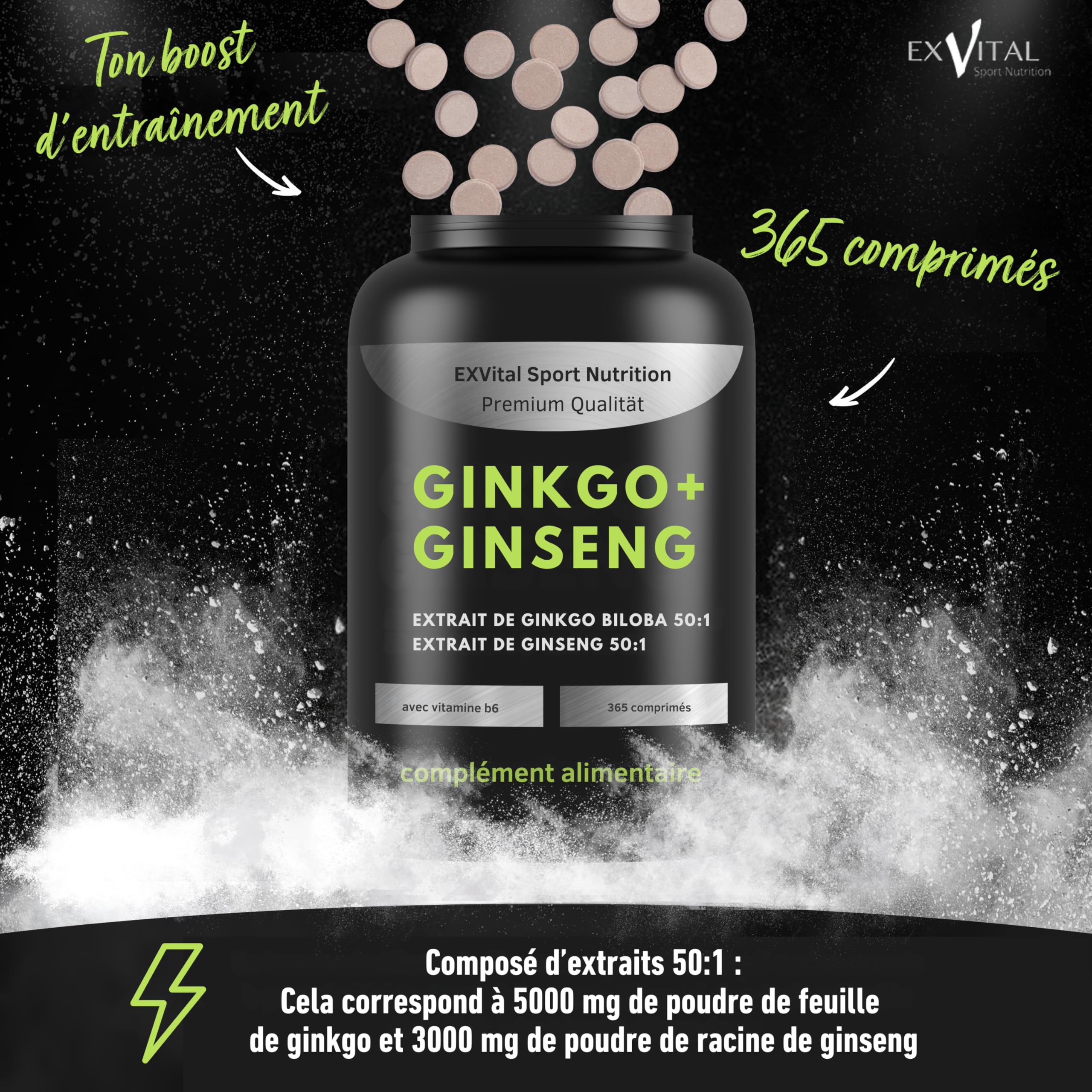 EXVital® Ginkgo + Ginseng, 365 comprimés, extraits de plantes 50:1, hautement dosé – Ginkgo Biloba & Ginseng coréen – Testé en laboratoire – Végan