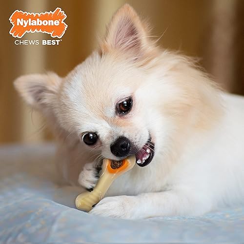 Miniatura 3 de Nylabone - Juguete masticable y con golosinas para perros, juguetes interactivos de enriquecimiento para perros