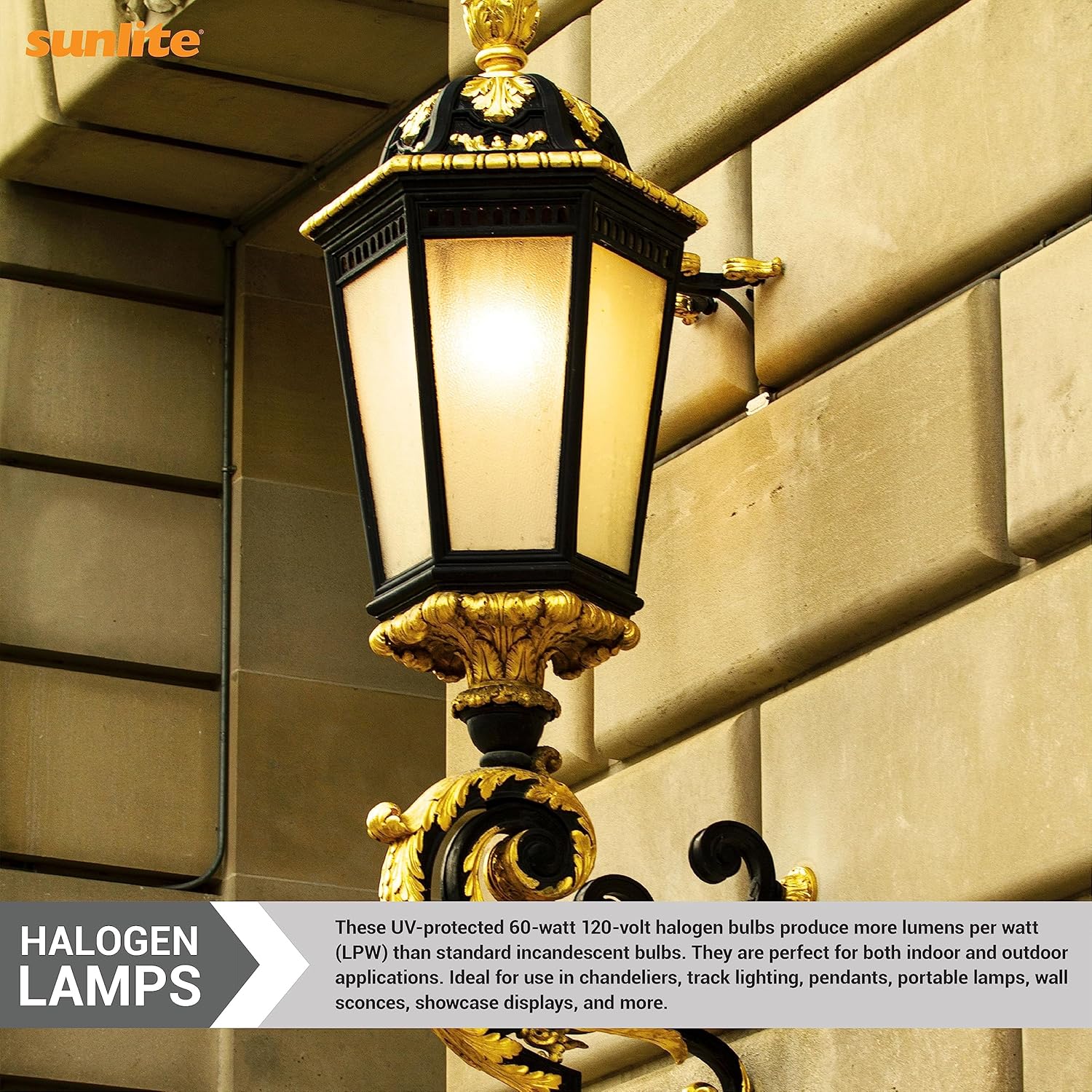 Sunlite Q60/G9/FR/120V 60-Watt Halogen G9 Bi-Pin Based Bulb, Frost