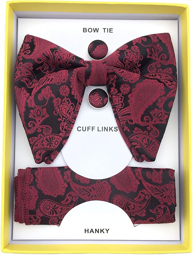 Set de corbata de moño grande para hombre con paisley miniatura 2