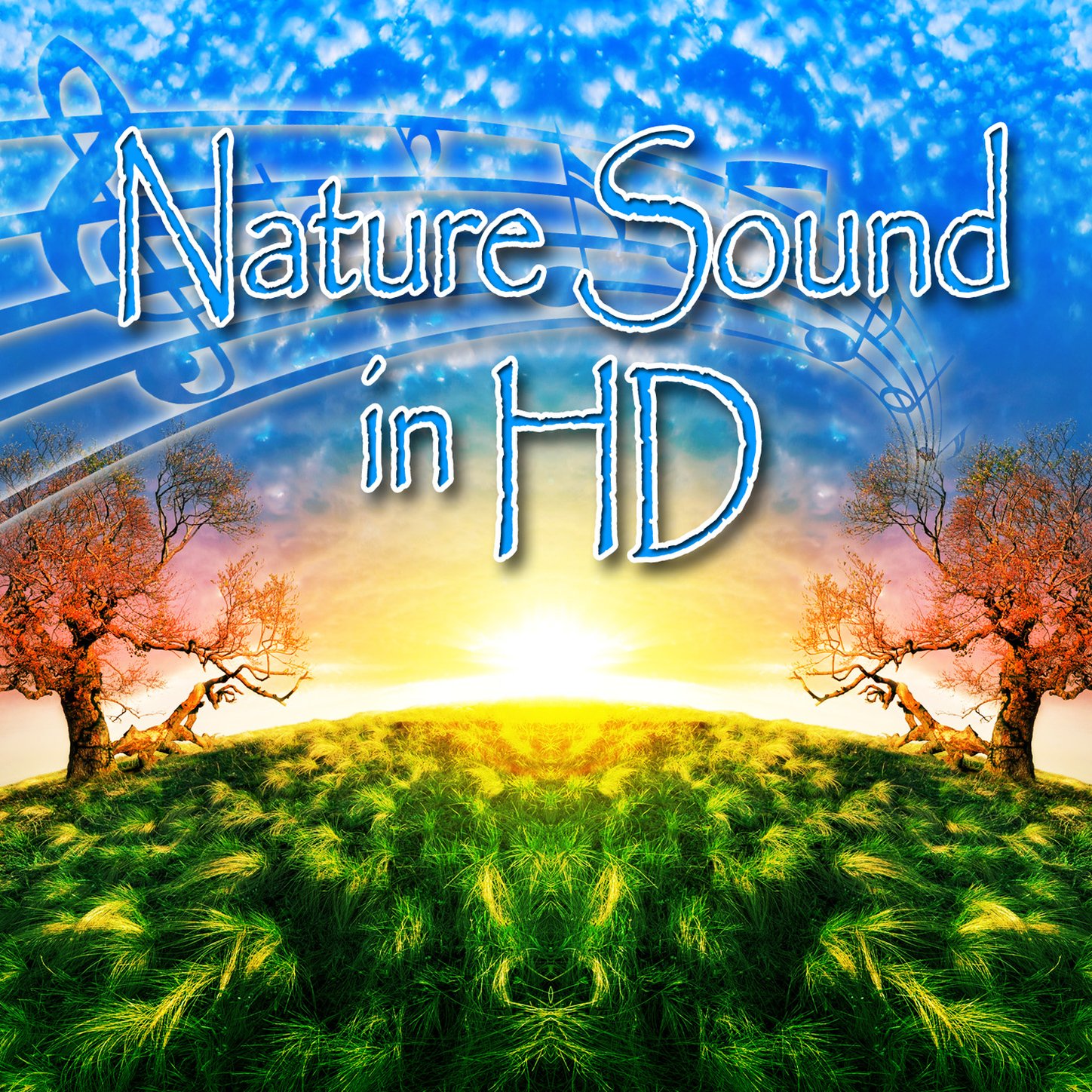 Nature Sounds In Hd