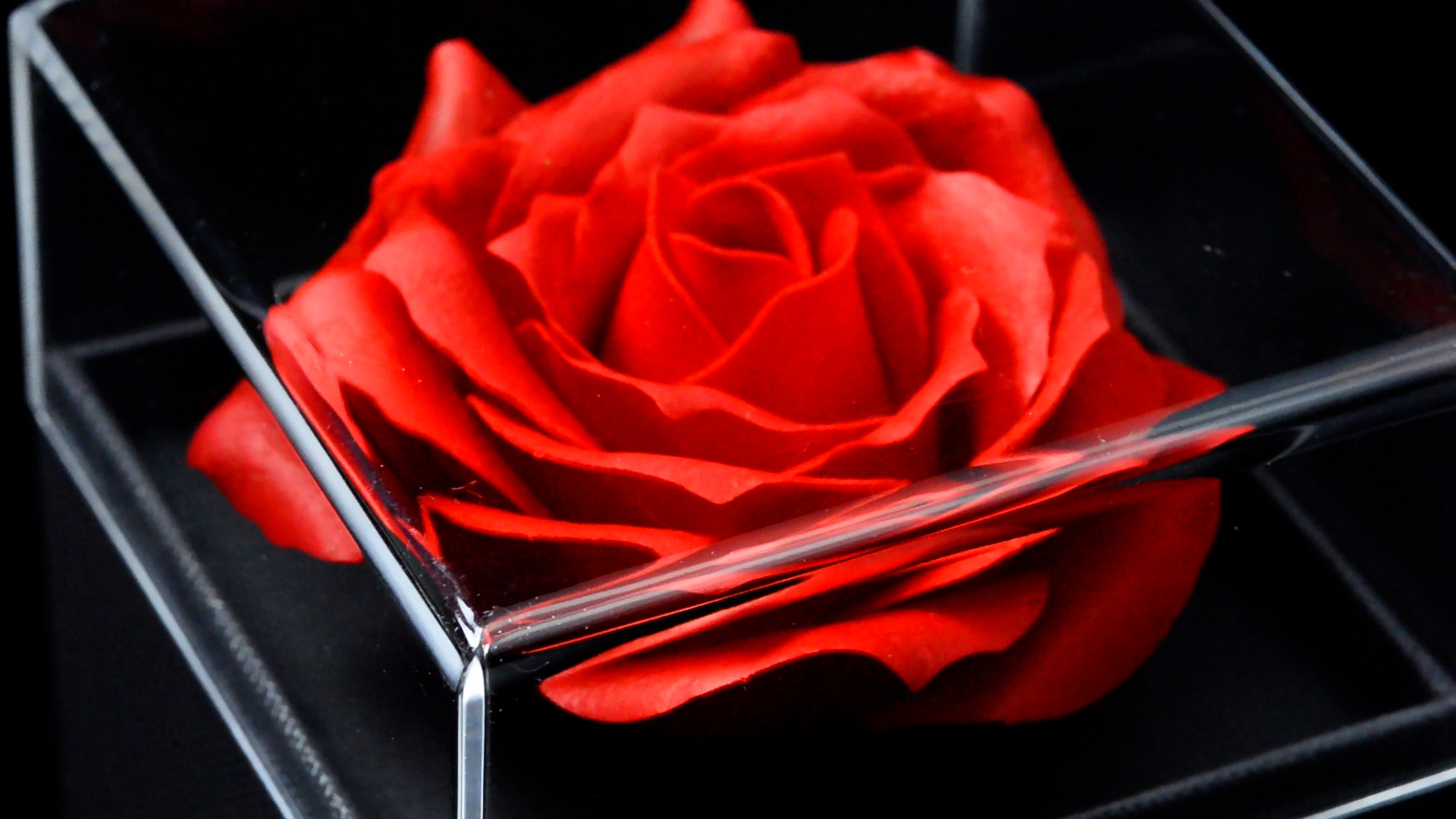 市場 Mr ソープフラワー 造花 一輪の花 人気 プレゼント バラ Laluna創作ジュエリー石鹸花のローズボックスのギフトセット