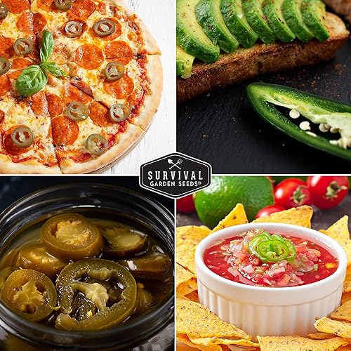 Miniatura 10 de Survival Garden Seeds - Semillas de pimiento jalapeño para plantar - Paquete con instrucciones para plantar y cultivar chiles verdes o rojos en tu