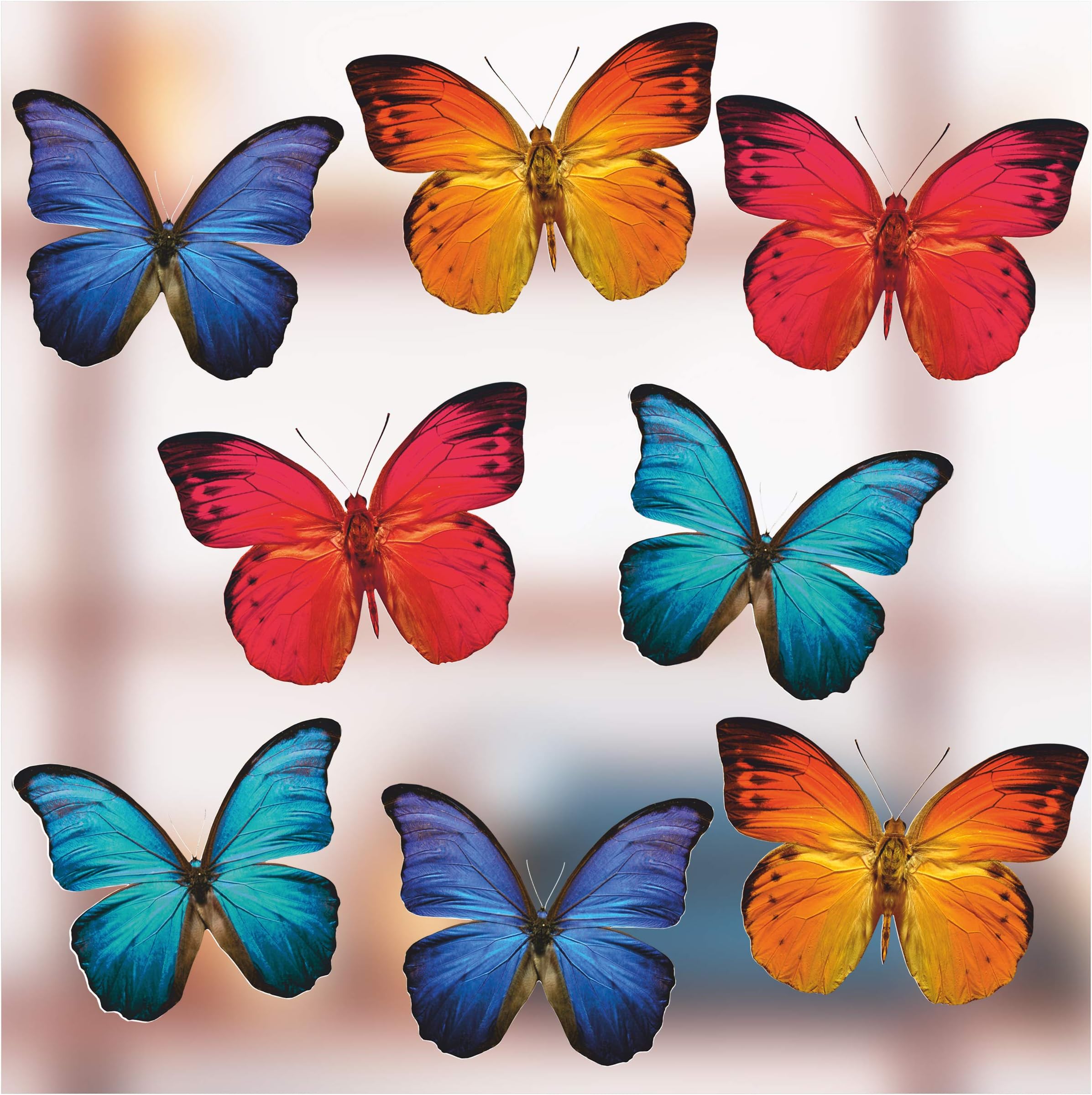 Primavera Decoracion Pegatinas De Ventana Diente De León Y Mariposas - Vinilo Reutilizable (Blanco) Vinilo Para Ventanas
