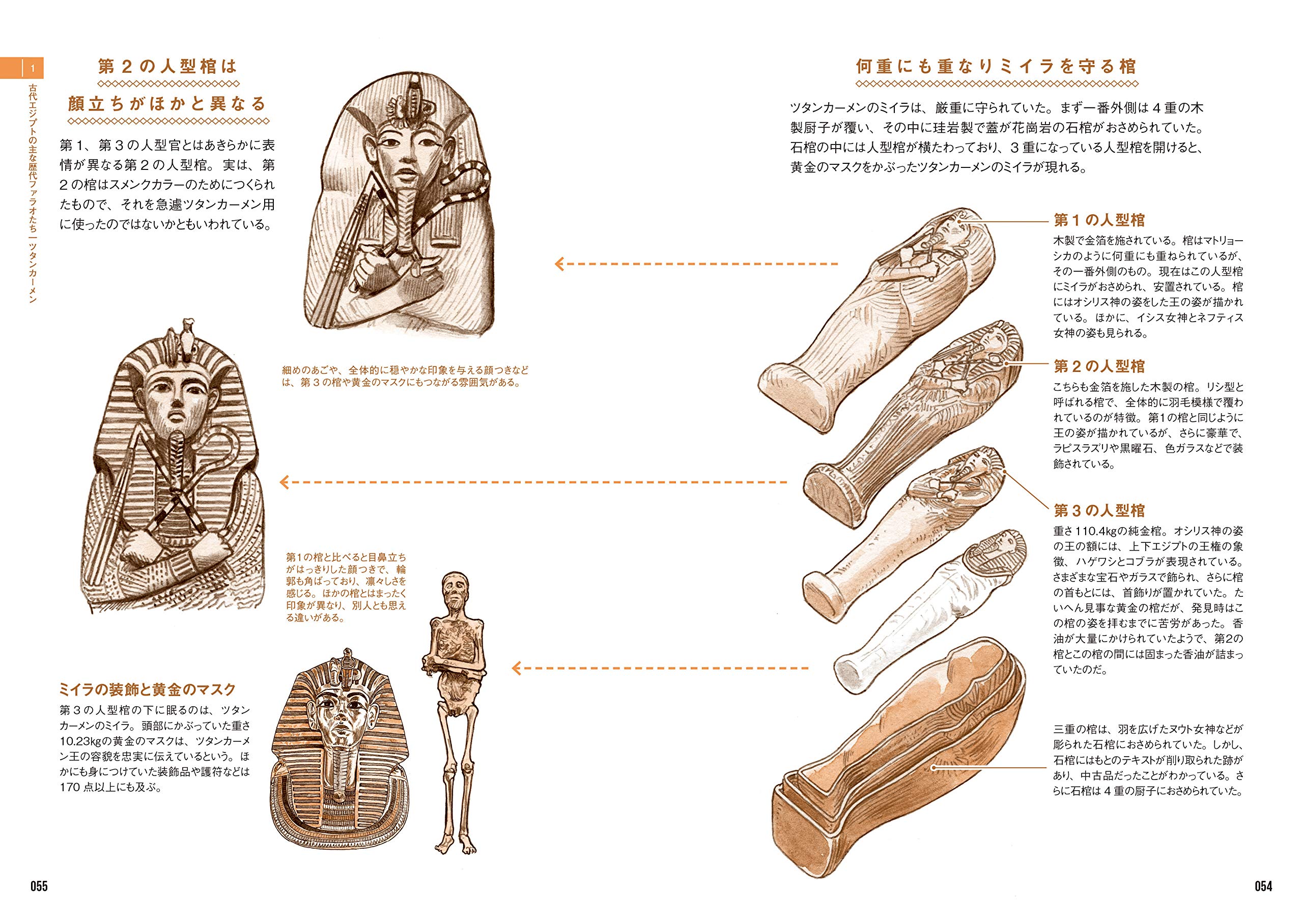 ファラオの秘薬?古代エジプト植物誌
