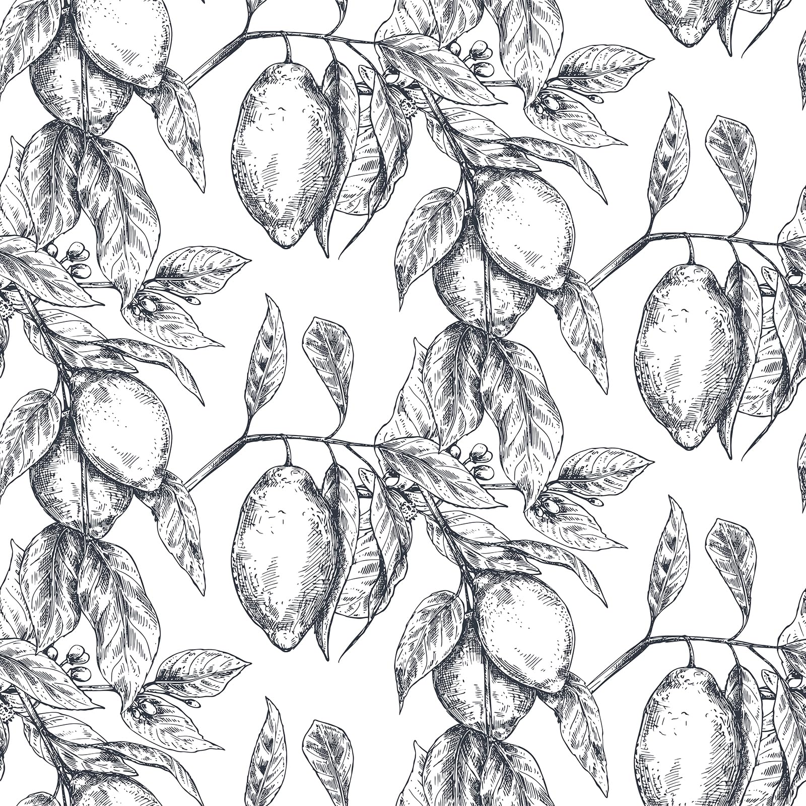 Papier peint autocollant citronnier pour relooker une cuisine moderne
