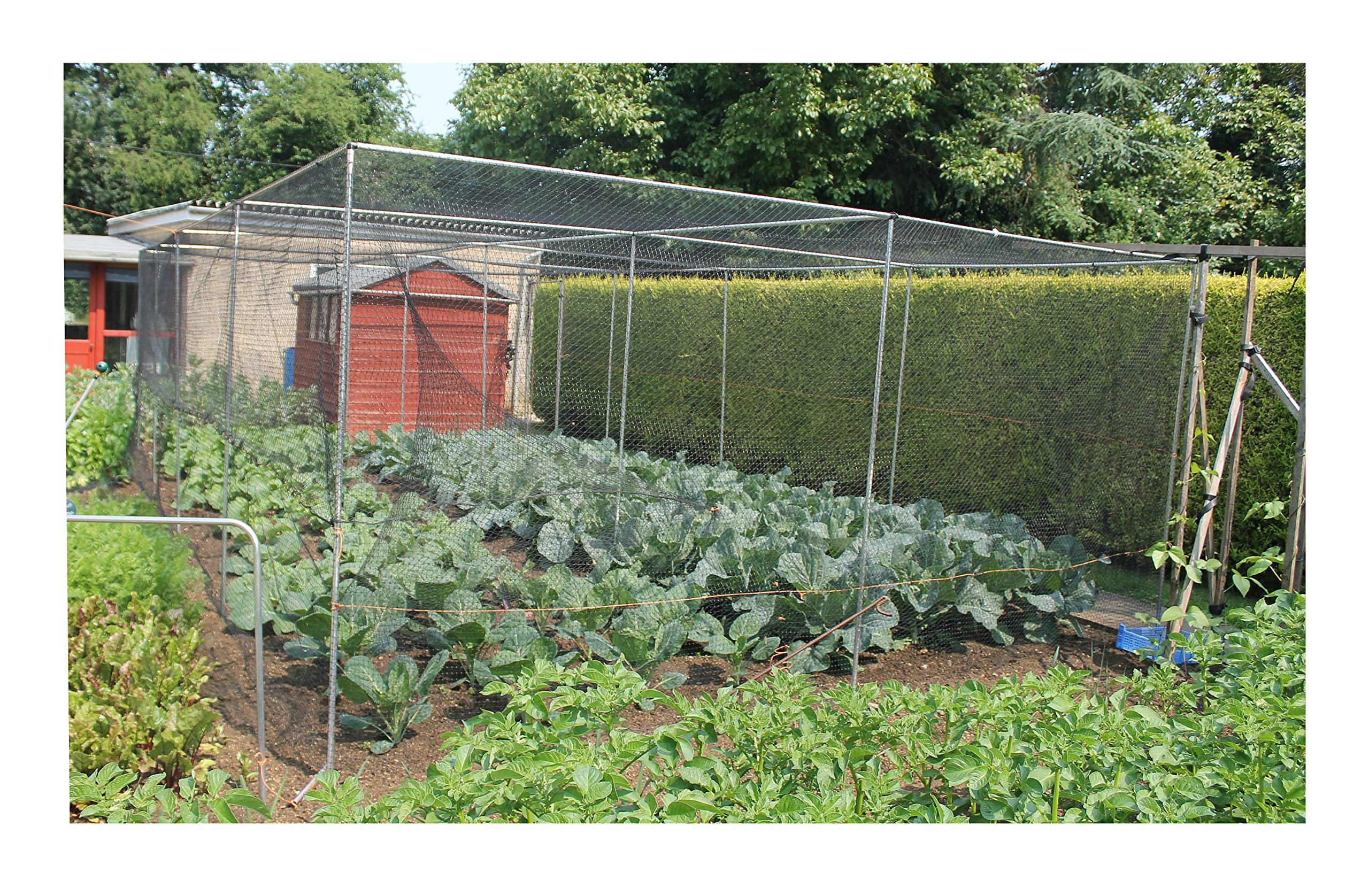 Walk in Fruit or Vegetable Cage Kit Includes Door H2 x W2 x L3 Green Soft Butterfly Netting, Pegs and Clips — view 9